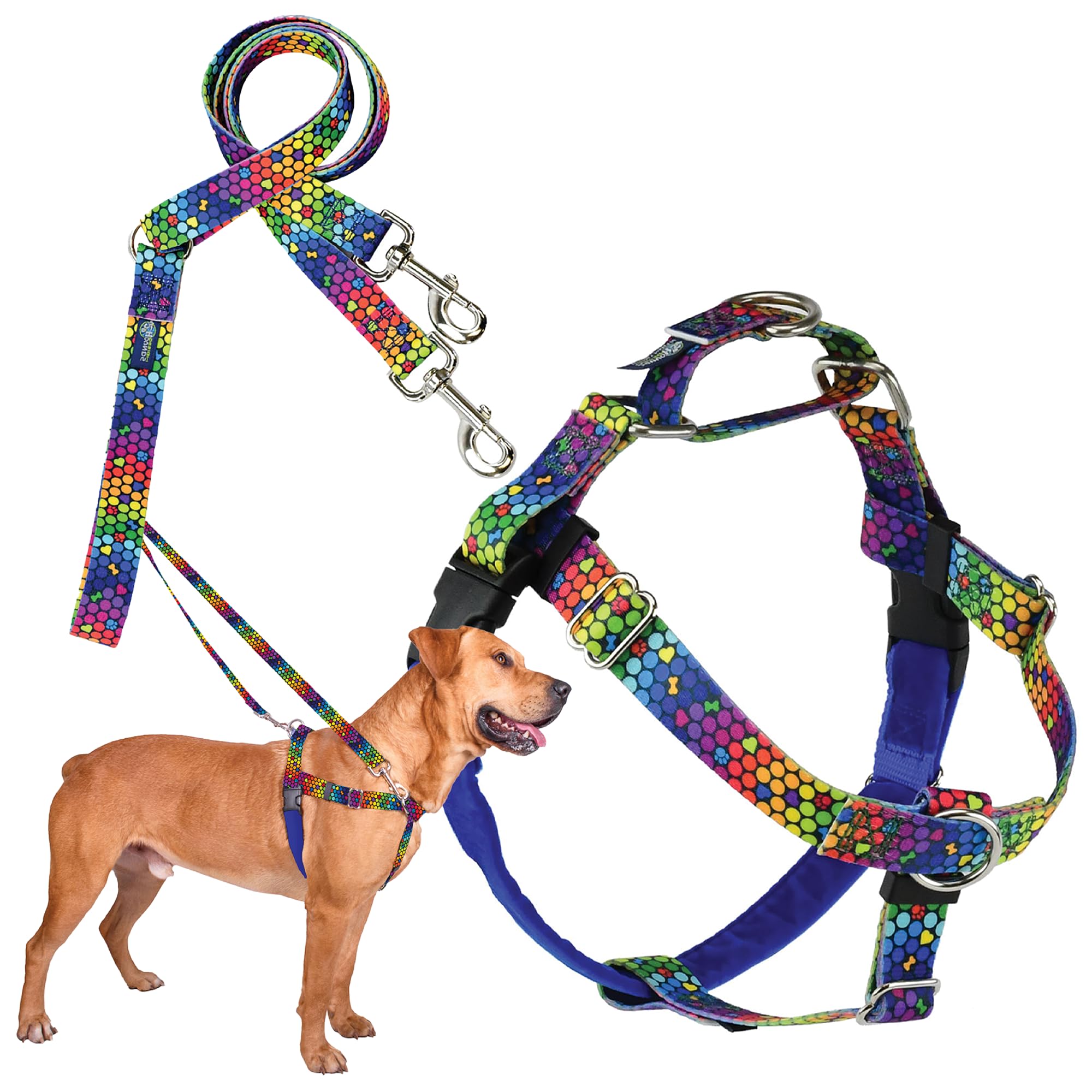 2 Hounds Design - Freedom No-Pull Harness & Training Leash In Blue And Rainbow | Dual Leash Loops, No Pulling On Walks | Lined T