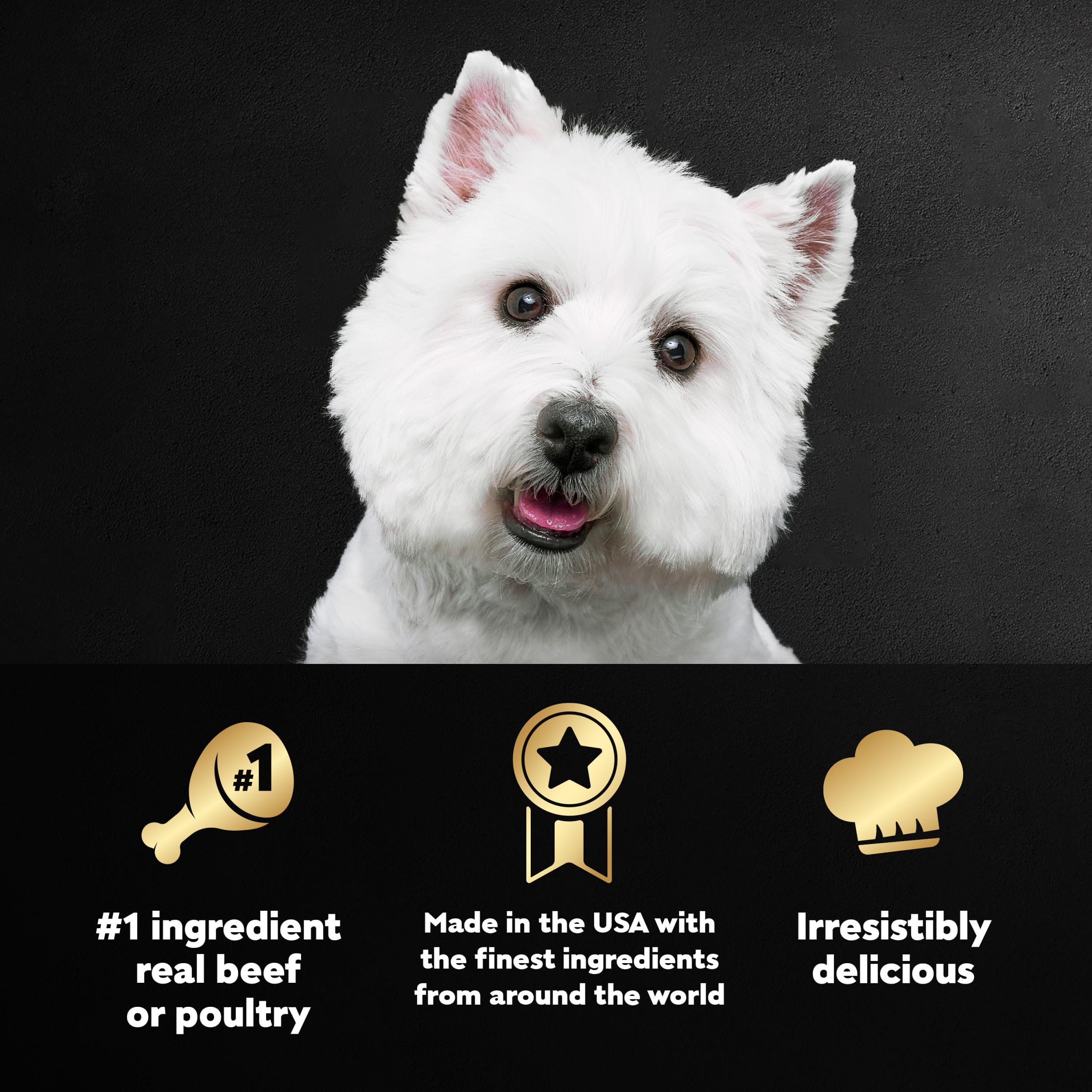 CESAR Adult Wet Dog Food Classic Loaf in Sauce Grilled Chicken, Filet Mignon, Porterhouse Steak, Beef, Chicken & Liver and Turke