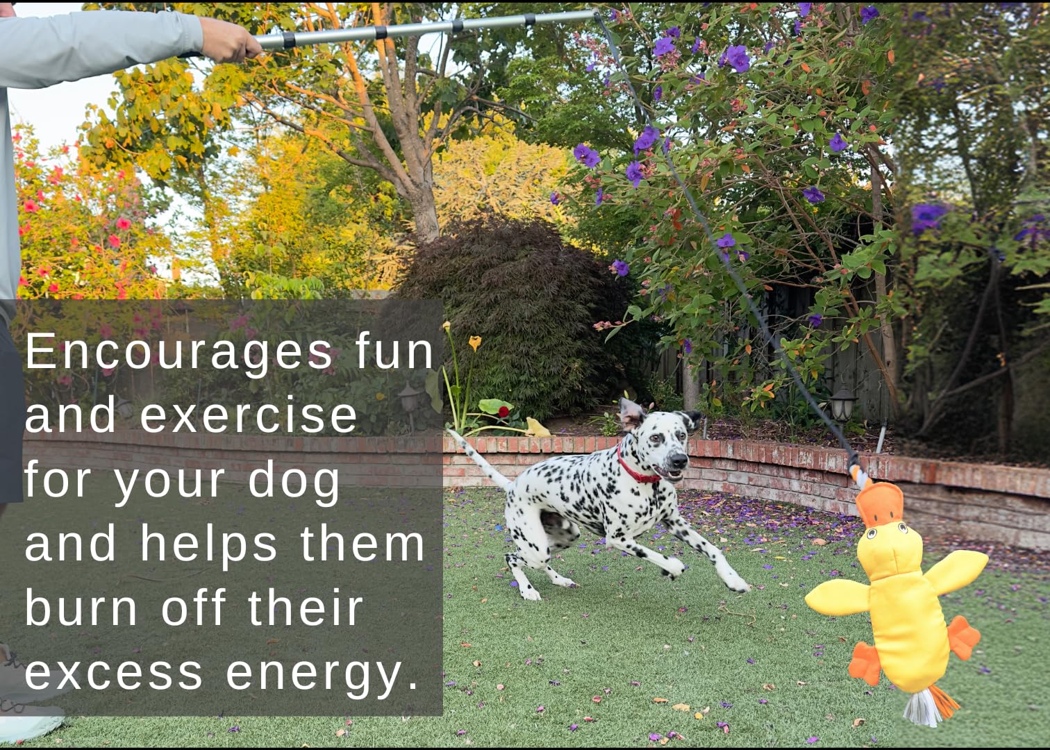 Lucolove Flirt Pole For Dogs Heavy Duty - Multi-Sensory Tough Chase Toy For Medium & Large Breeds - Extra Strong 39'' Dog Teaser