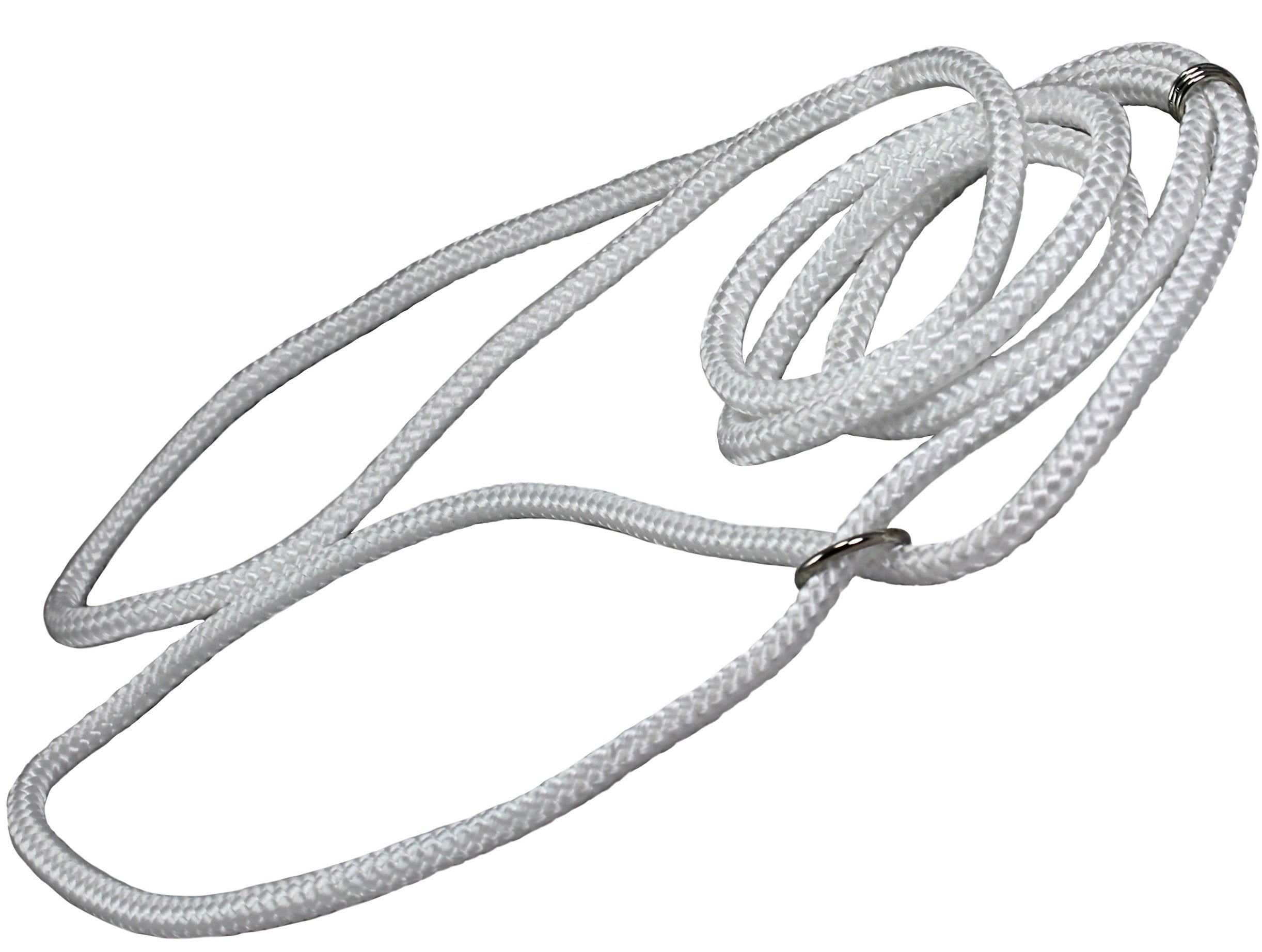 Dog Show Lead Braided Tubular Nylon 52' Long (Small: Diam 1/4'(6Mm), White)