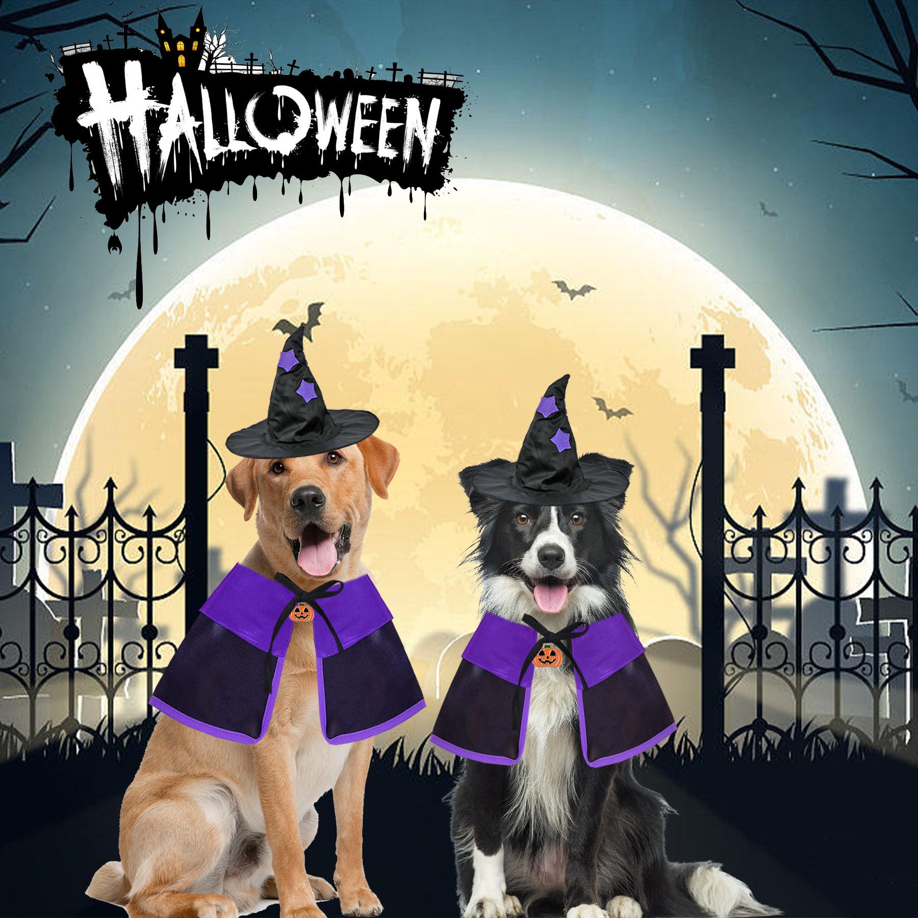 Goyoswa Dog Halloween Costumes, Dog Witch Costume Halloween Dog Witch Cloak Cape Wizard Hat Halloween Costumes For Small Medium Large Dogs Pets(Large)