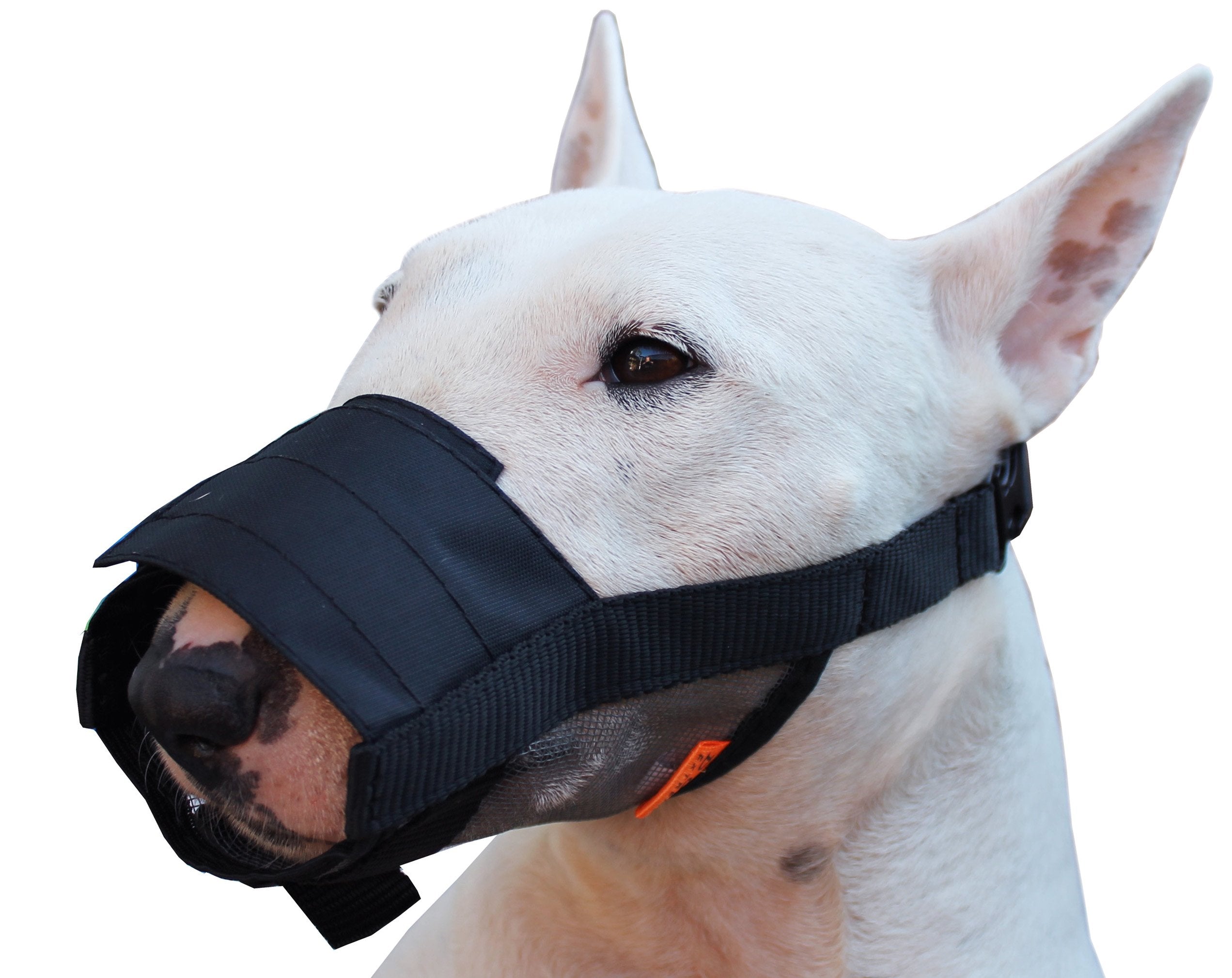 Adjustable Nylon Dog Grooming Muzzle (Large: 10'-13.5' Snout)