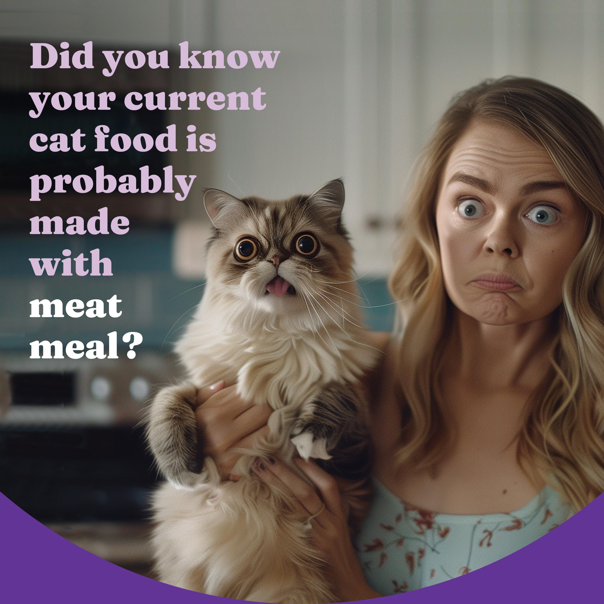 Halo Holistic Cage Free Chicken Cat Food, Healthy Grains Dry Cat Food, Complete Digestive Health, Kibble for Adult Cats, 10 lb B
