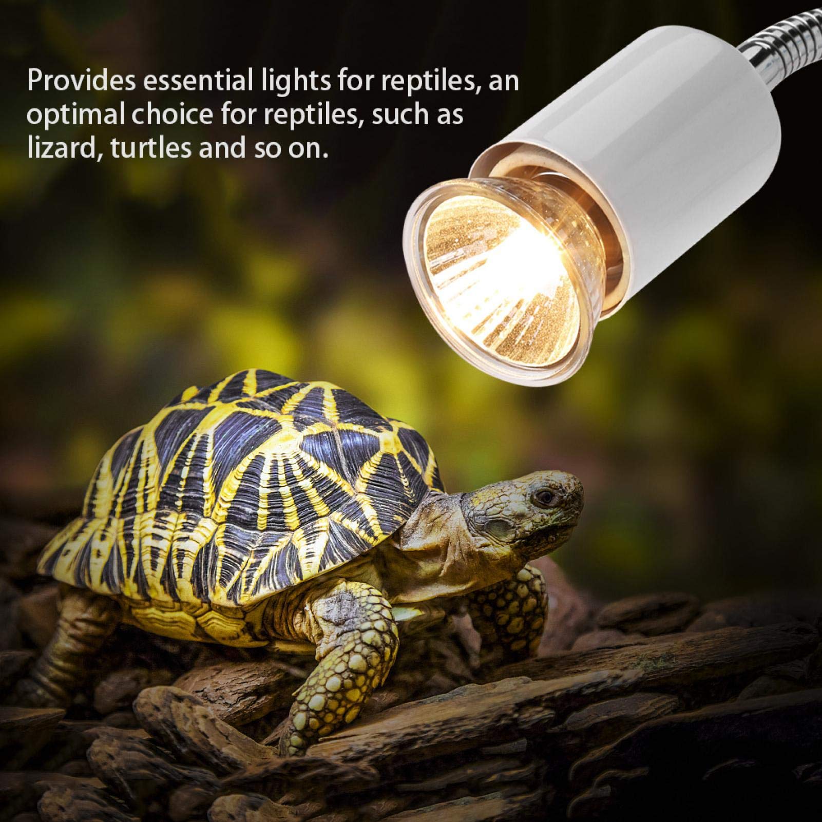 Pssopp 25W/50W 220-240V Reptile Aquarium Heat Lamp Habitat Basking Lamp Light Bulb For Reptile Lizard Turtles(25W)