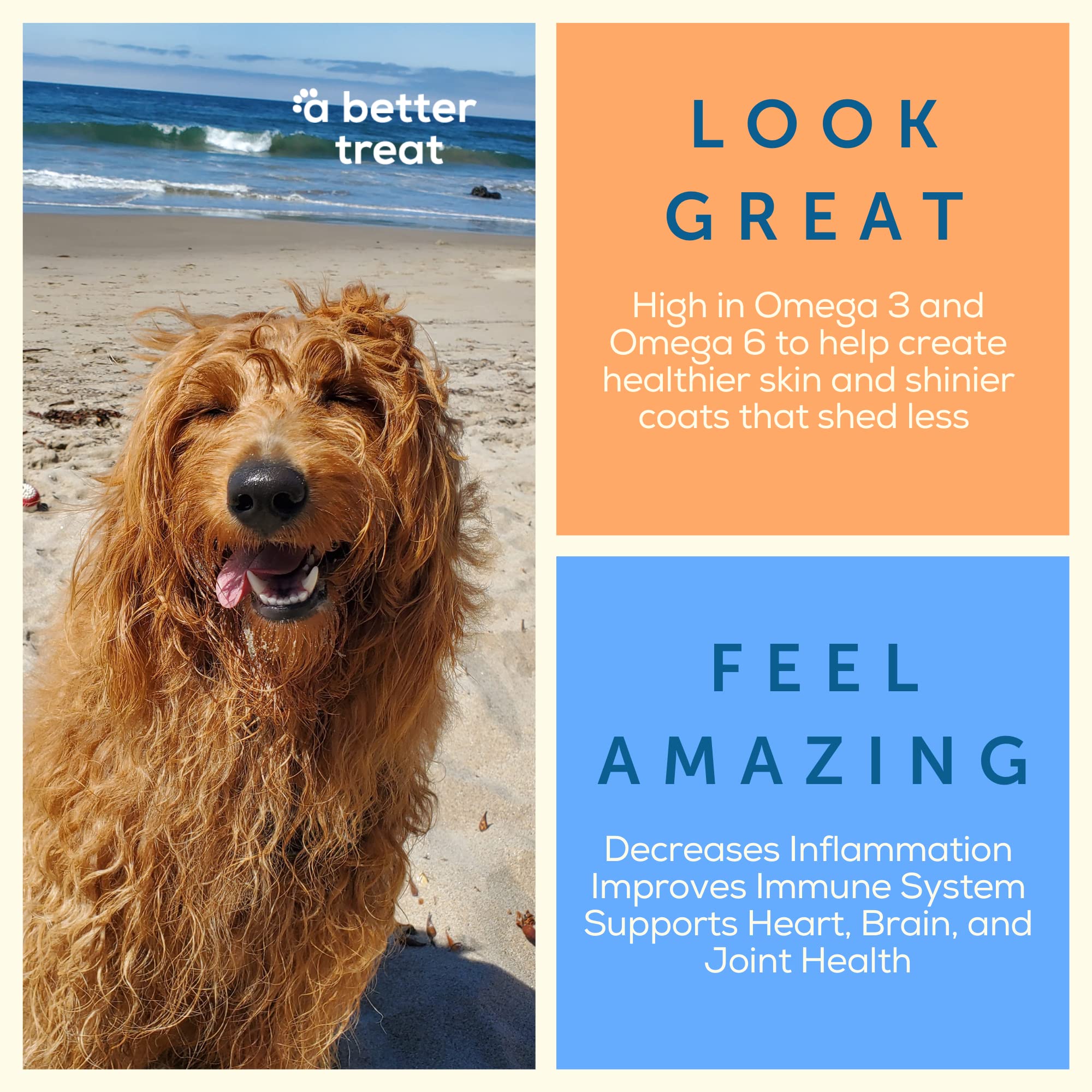 Freeze Dried Beef Dog Treats, Grass Fed, Beef Liver Single Ingredient | Natural, Healthy, High Protein, Diabetic Friendly | Made