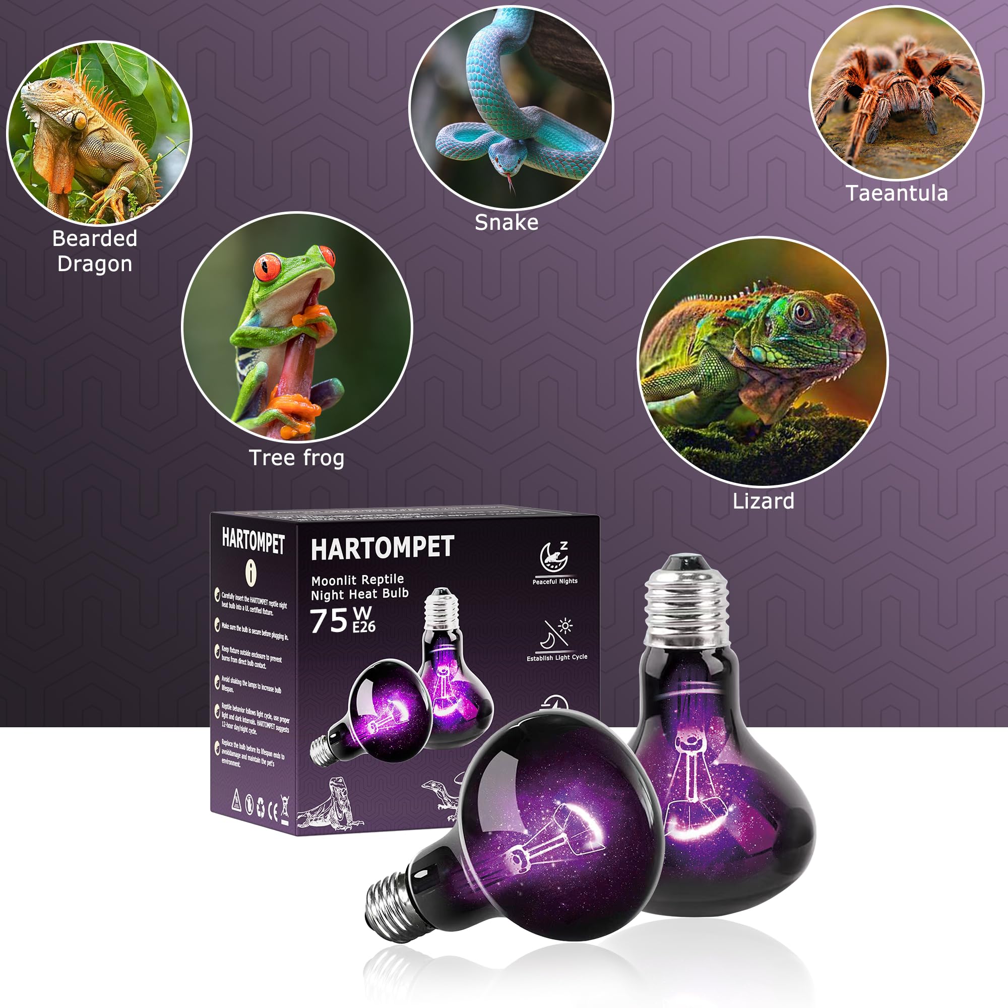 HARTOMPET 75W Reptile Night Light Bulb, UVA Heat Lamp - Simulate Natural Moonlight, Purple Basking Lamp for Bearded Dragon, Liza
