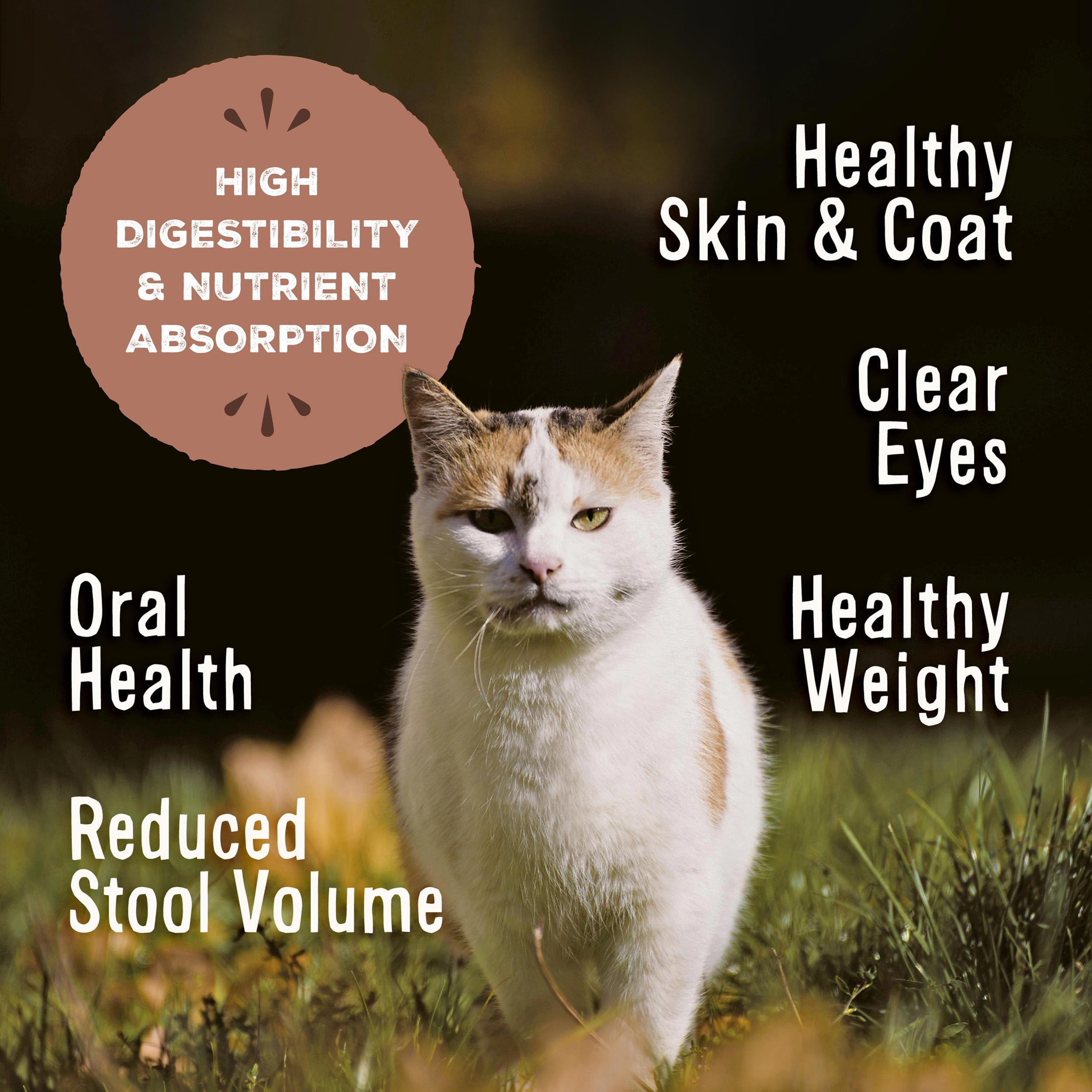 Primal Freeze Dried Raw Cat Food Nuggets Beef & Salmon, Complete & Balanced Meal or Topper, Premium, Healthy, Grain Free, High P