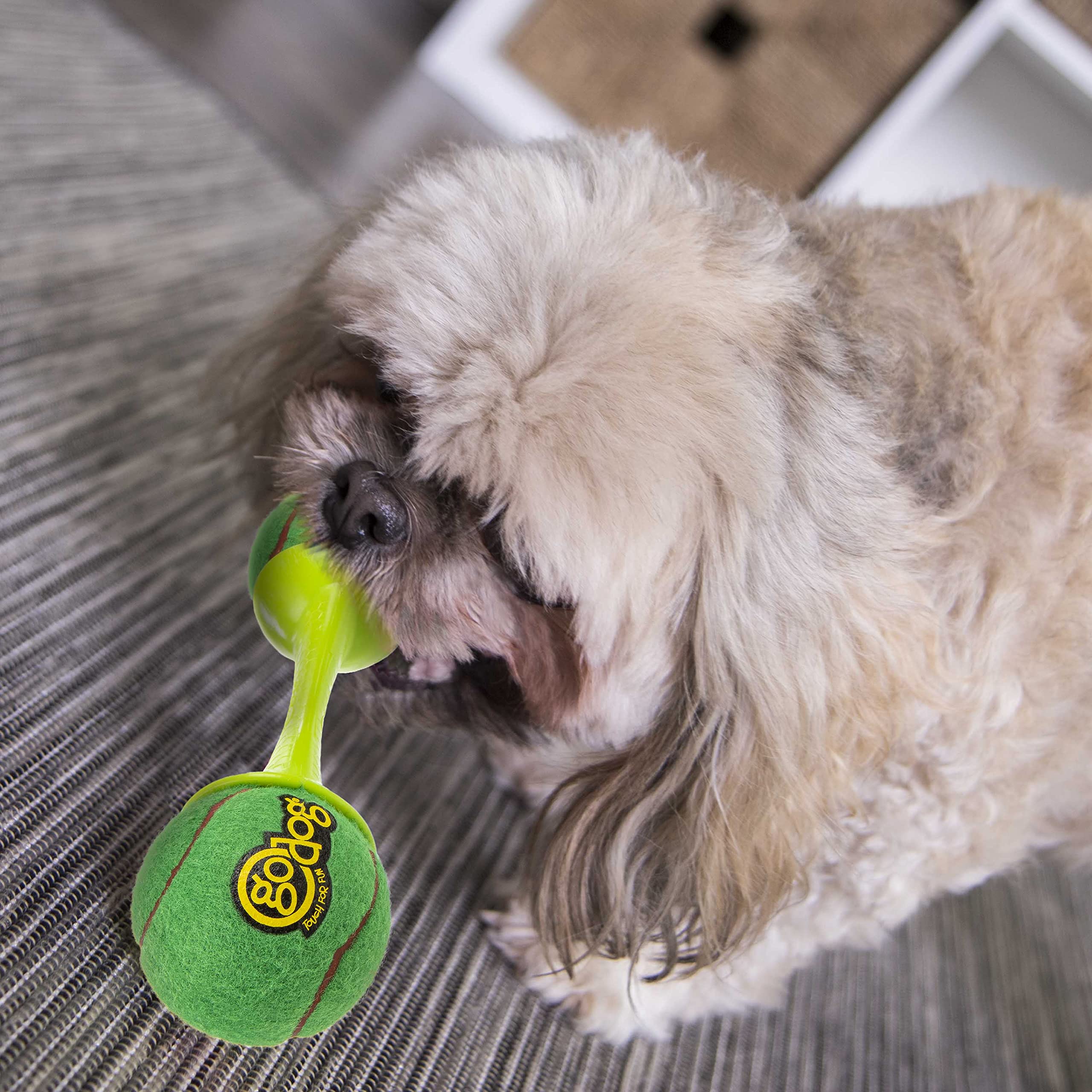 goDog goBone Double-Sided Tennis Ball Dog Toy - Large, Rubber, Green/Red, Model 74006