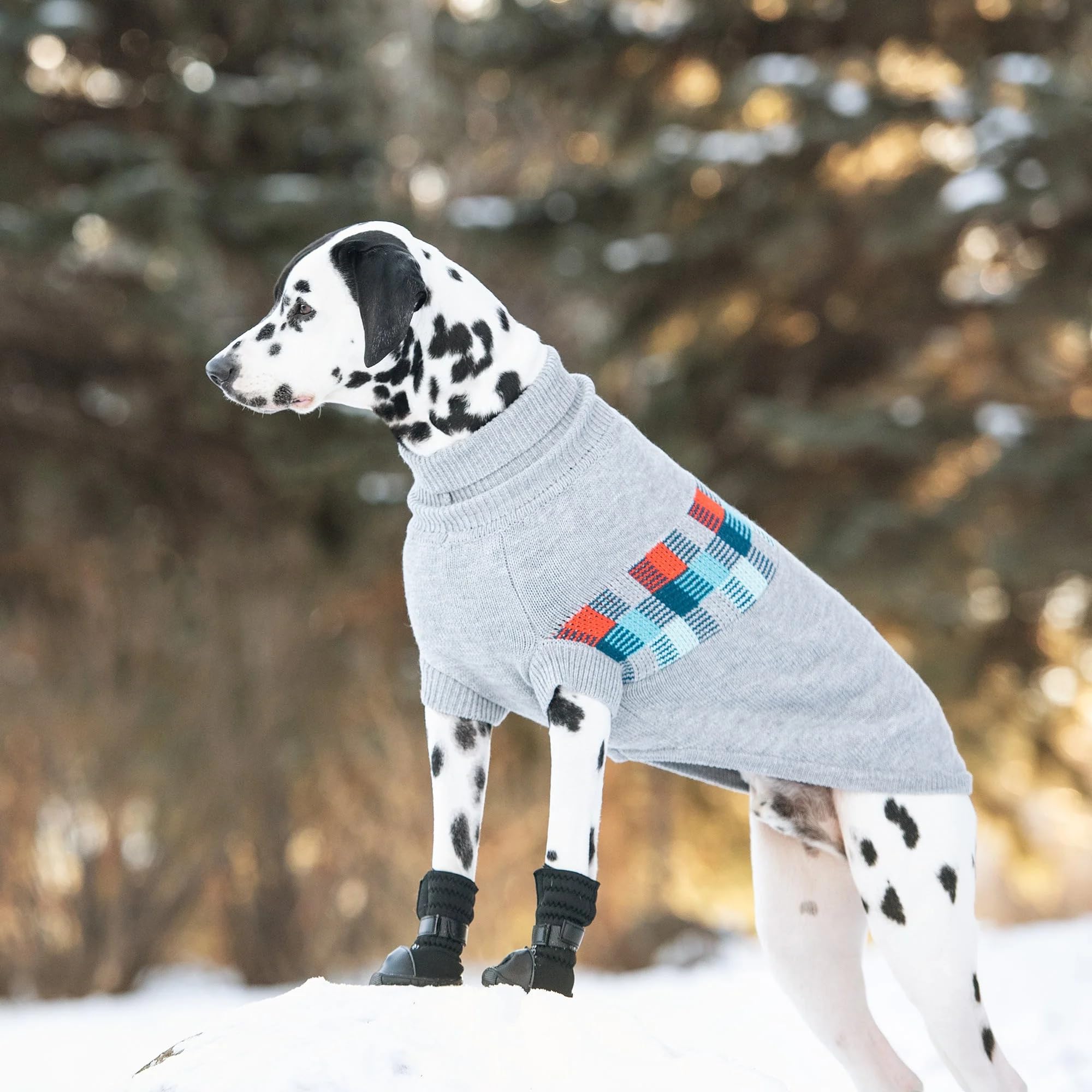 Gf Pet Grey Winter Sailor Dog Parka, Medium
