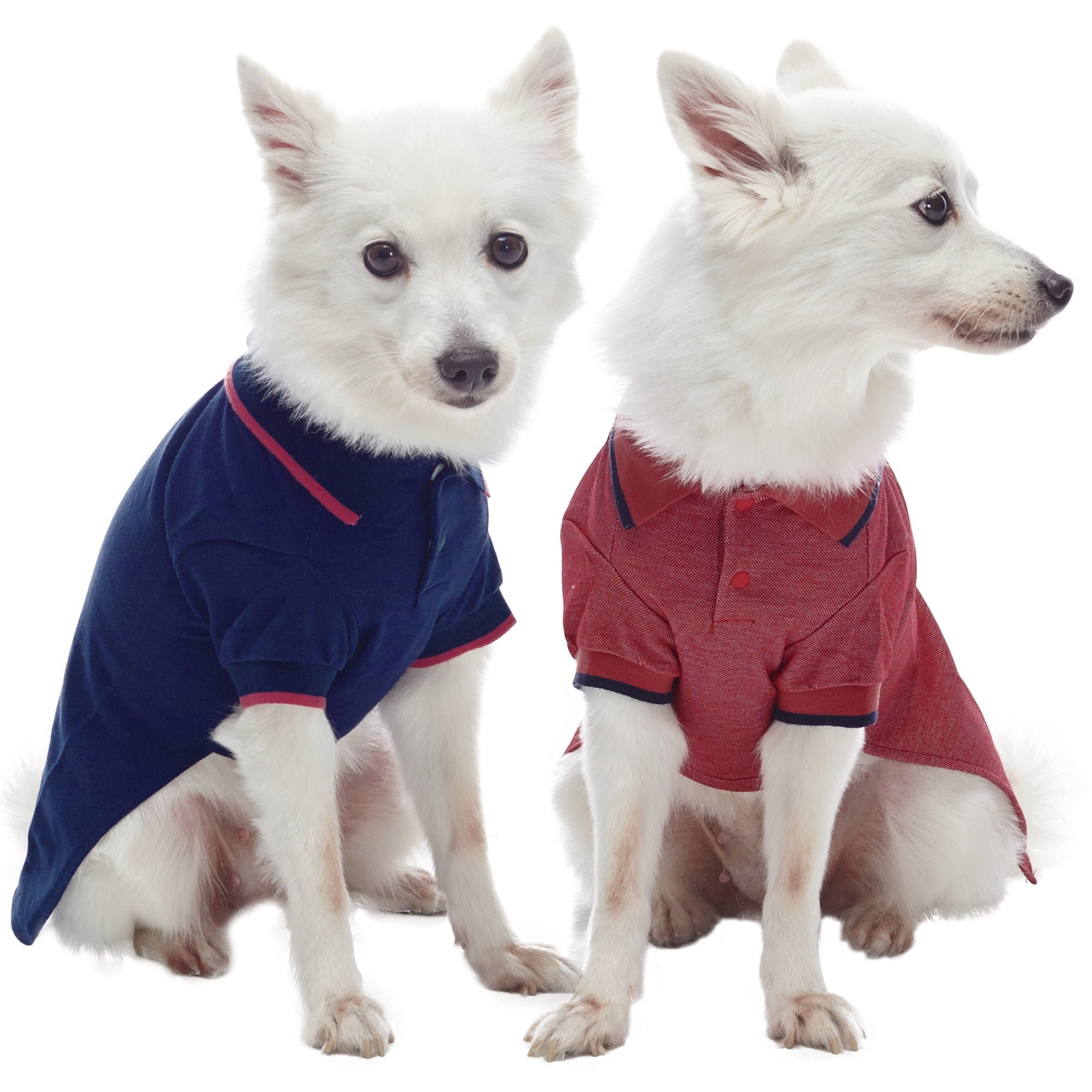 Blueberry Pet Back to School 2-Pack Prep School Style Dog Polo Shirts | Cotton Outfit for Small Pets in Navy + Rusty Red, Back L