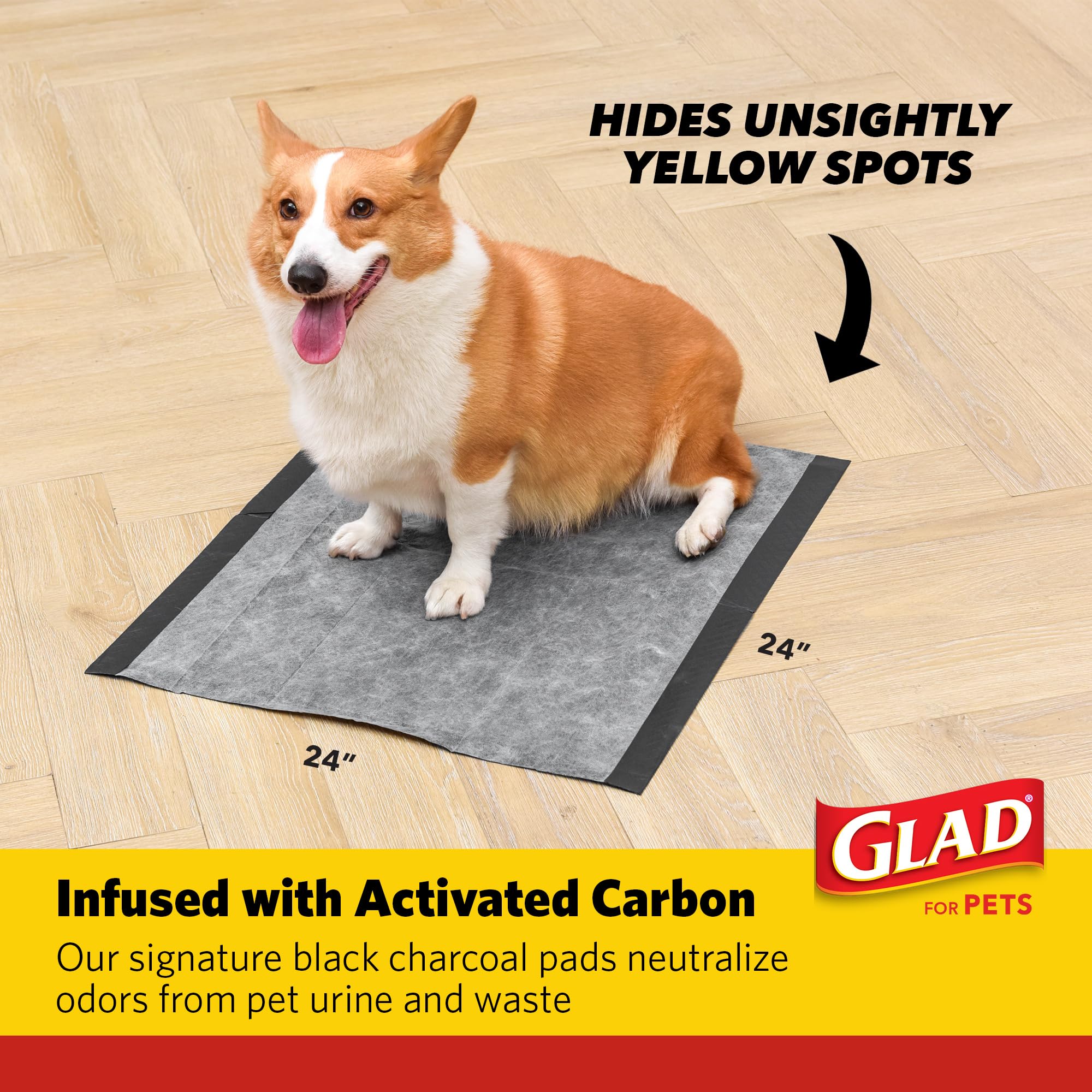 Glad for Pets Heavy Duty Activated Carbon Training Pads, 24 x 24 | Ultra Absorbent Training Pads - Absorbs 50% More Than Standar