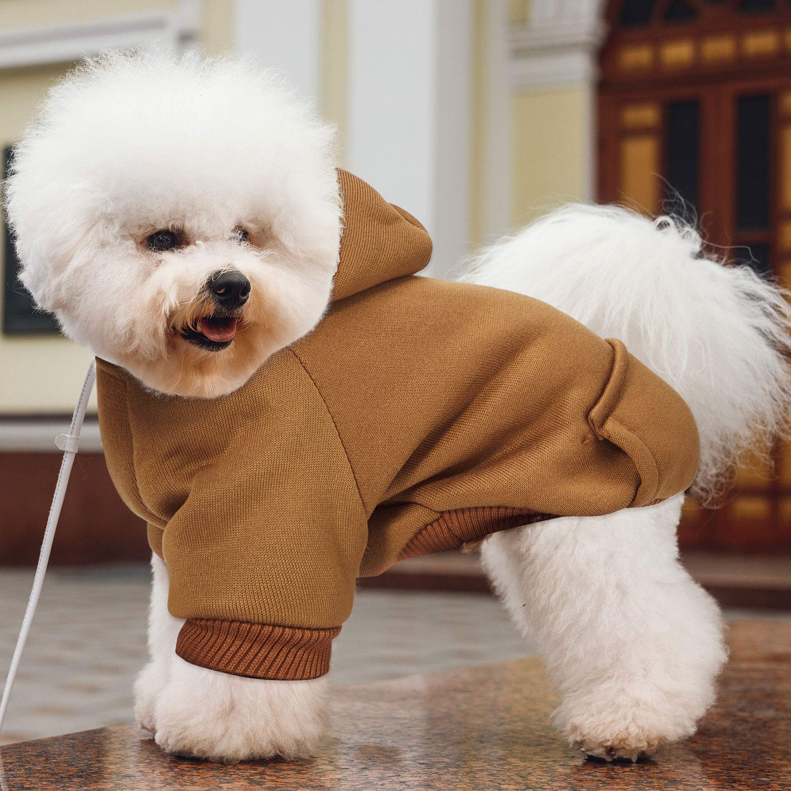 2 Pieces Winter Dog Hoodie Warm Small Dog Sweatshirts with Pocket Cotton Coat for Chihuahua Clothes Puppy Costume(S,Orange, Brow