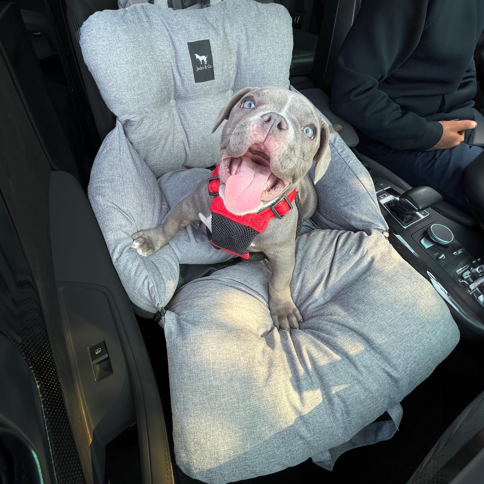 Jacko & Co - Premium Dog Car Seat & Bed For Small & Medium Dogs Up To 30Lbs, Soft Travel Bed & Carrier Bag For Pets, Puppies, Cats For Front & Back Seat, Machine Washable & Water Resistant (Grey)