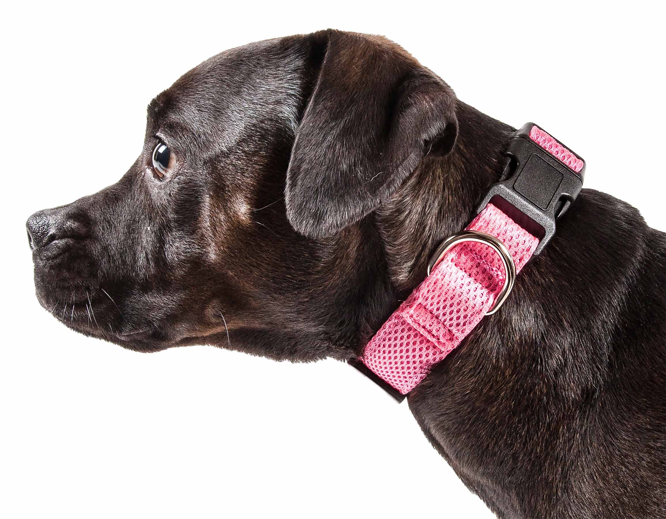 Pet Life ® 'Aero Mesh' Dual Sided Comfortable and Breathable Adjustable Pet Collar - Mesh Dog Collar with Stainless stell Dog Leash Connection Ring