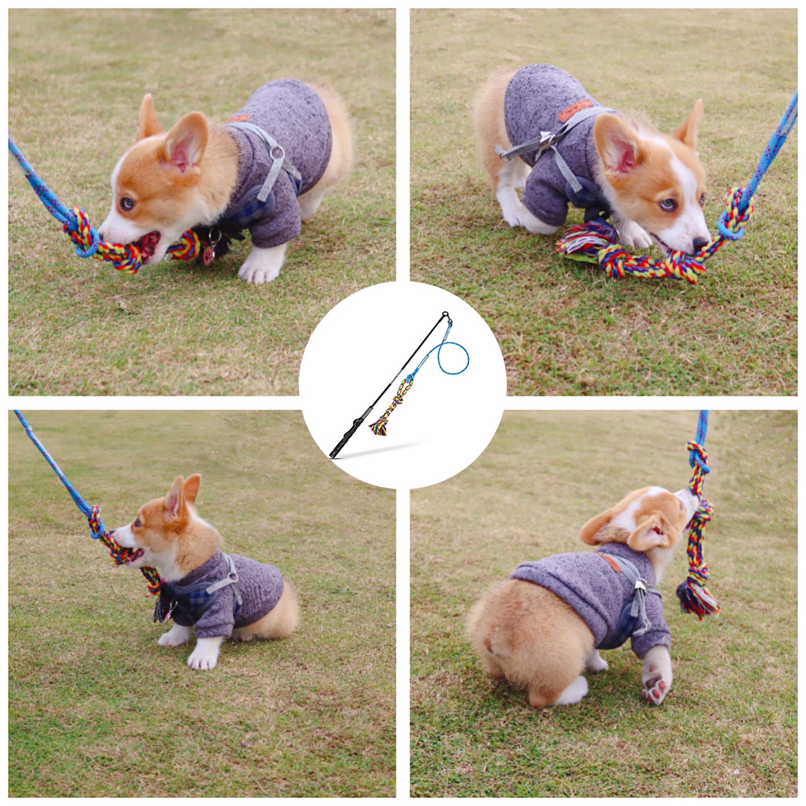 DIBBATU Flirt Pole for Dogs - Interactive Chase & Tug Toy for Large, Medium, & Small Dogs - Outdoor Exercise & Training Tool