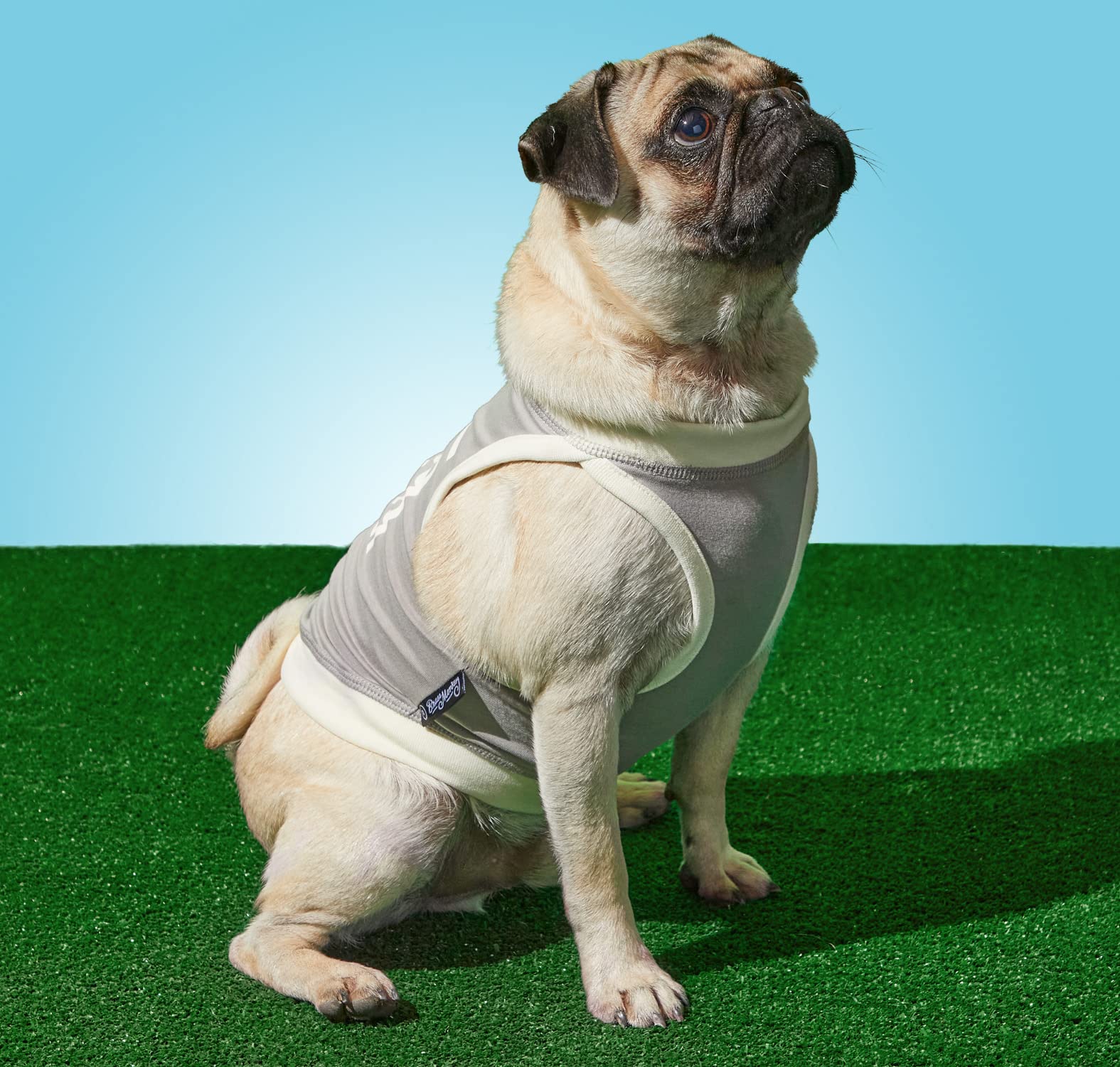 Brass Monkey People Pleaser Dog Tank; Pre-Shrunk Cotton Pet Muscle Tank; Medium (22'' Chest); Cute Dog Accessories With Eye-Catc