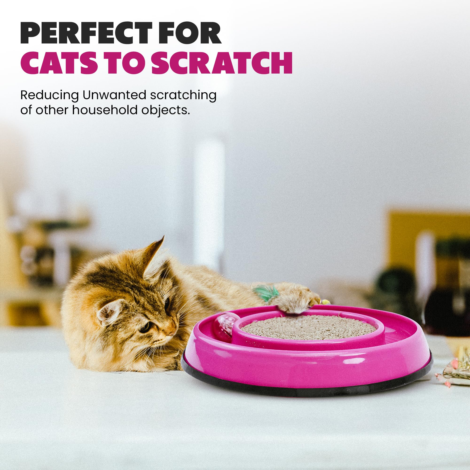 SPOT Rockin' Cat Scratcher Toy- Interactive Cat and Kitten Toy with LED Light Up Ball, Wobble Action, Corrugated 5 Inch Scratchi