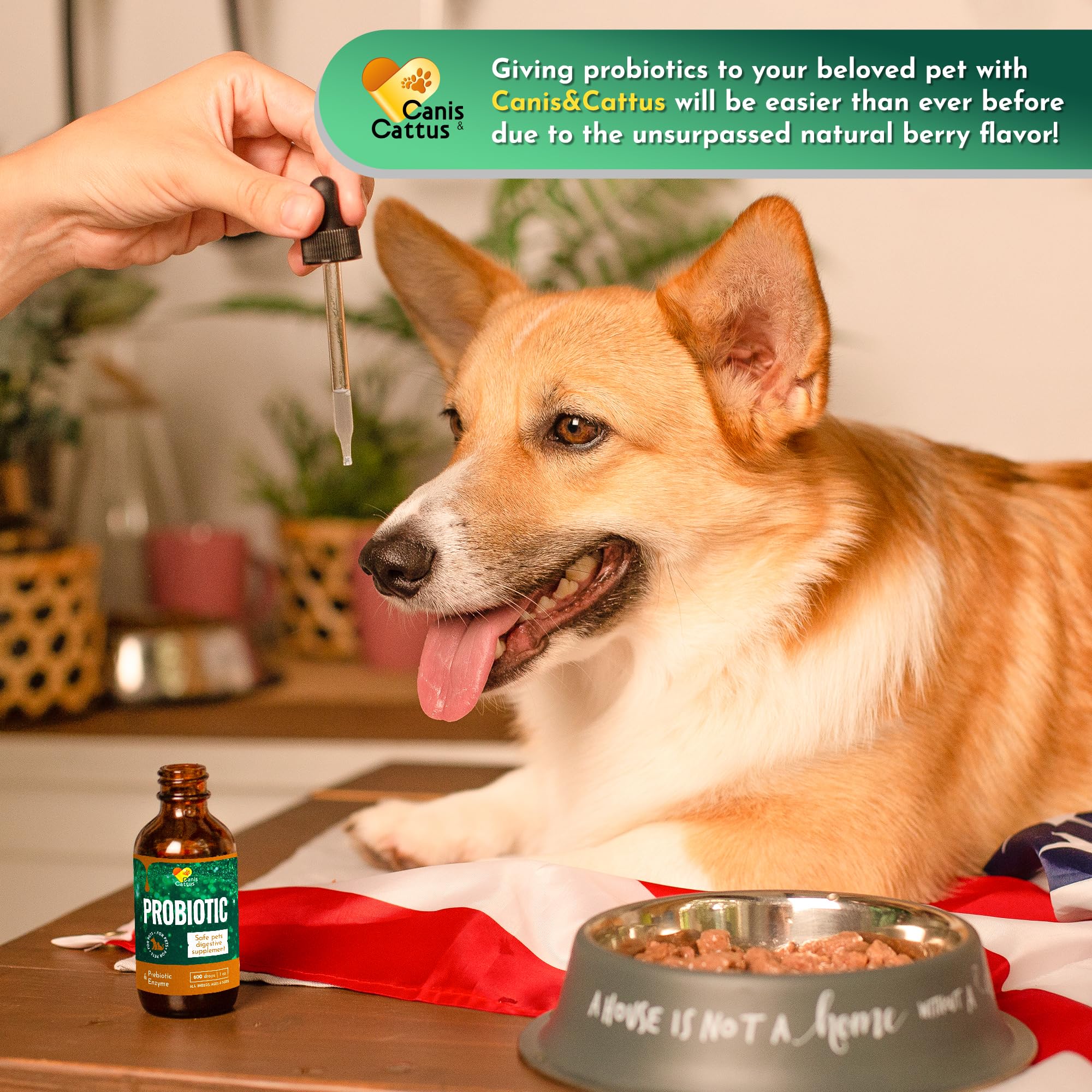 Liquid Probiotics for Dogs of All Ages - Probiotics for Cats to Support Digestion Well-Being - Enzyme Blend in The Composition -
