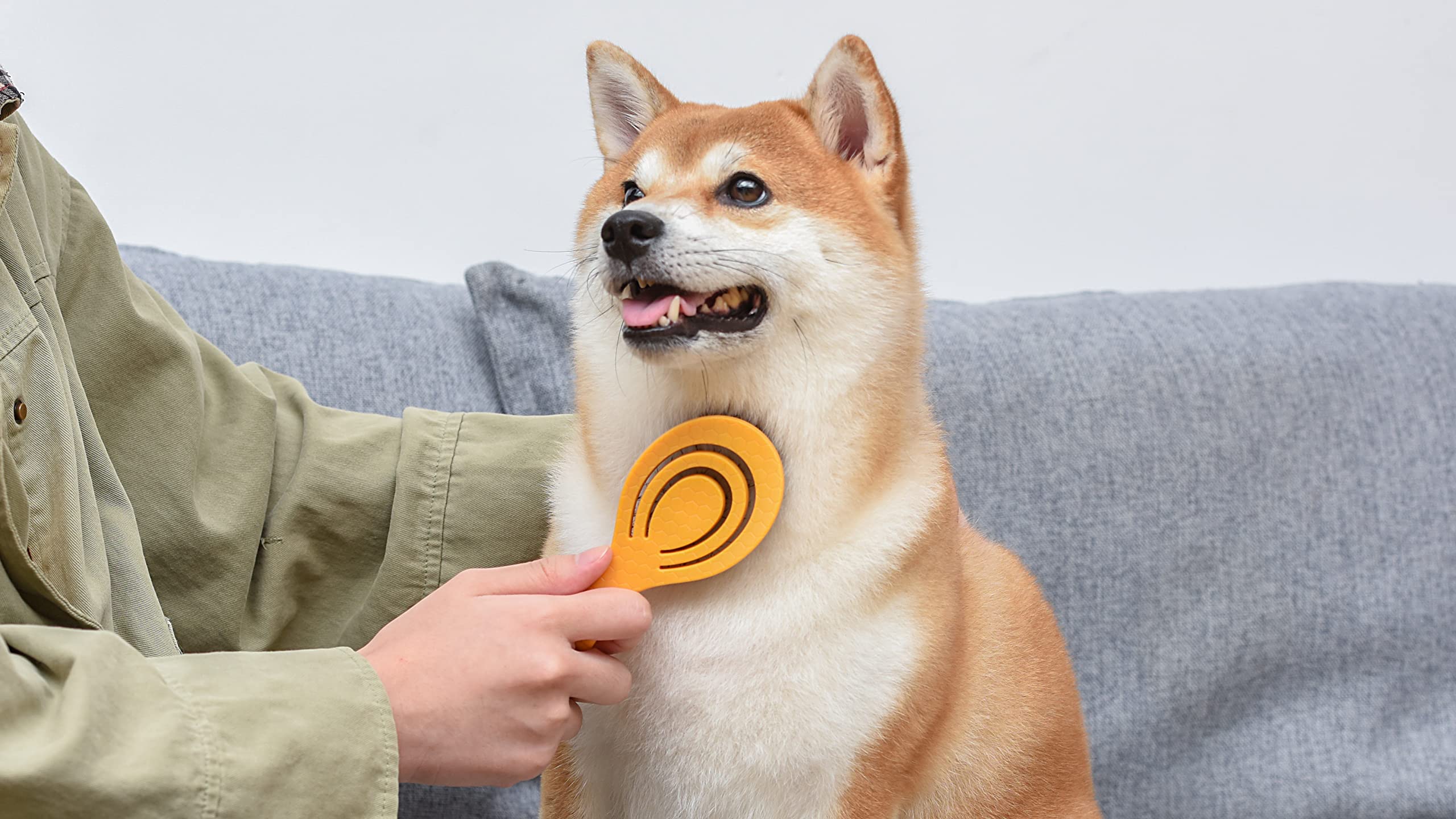 Burt’S Bees For Pets Porcupine Bristle Brush For Puppies And Small Dogs With Handle Made From Recycled Plastics Collected From Coastal Communities | Flex-Head Grooming Brush For Dogs