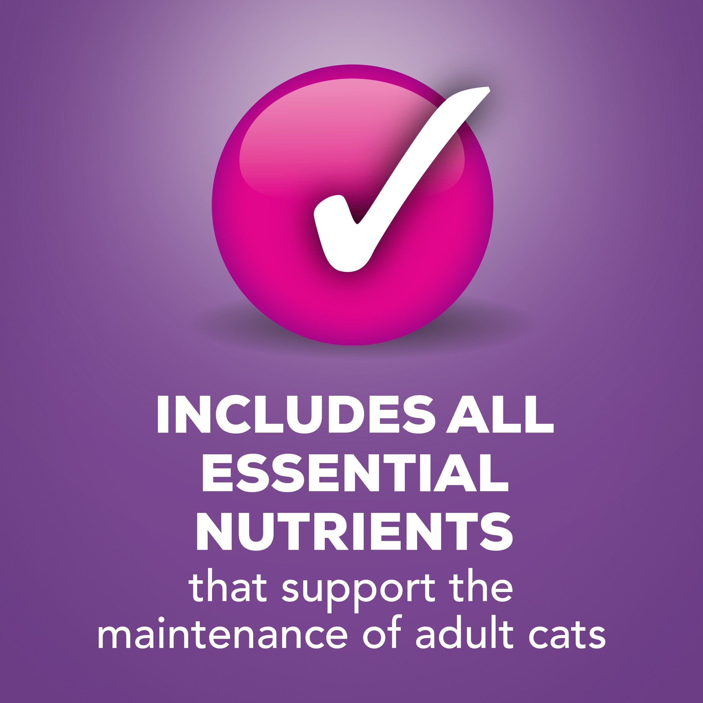 Purina Friskies Wet Cat Food Pate Turkey and Giblets Dinner - (Pack of 24) 5.5 oz. Cans