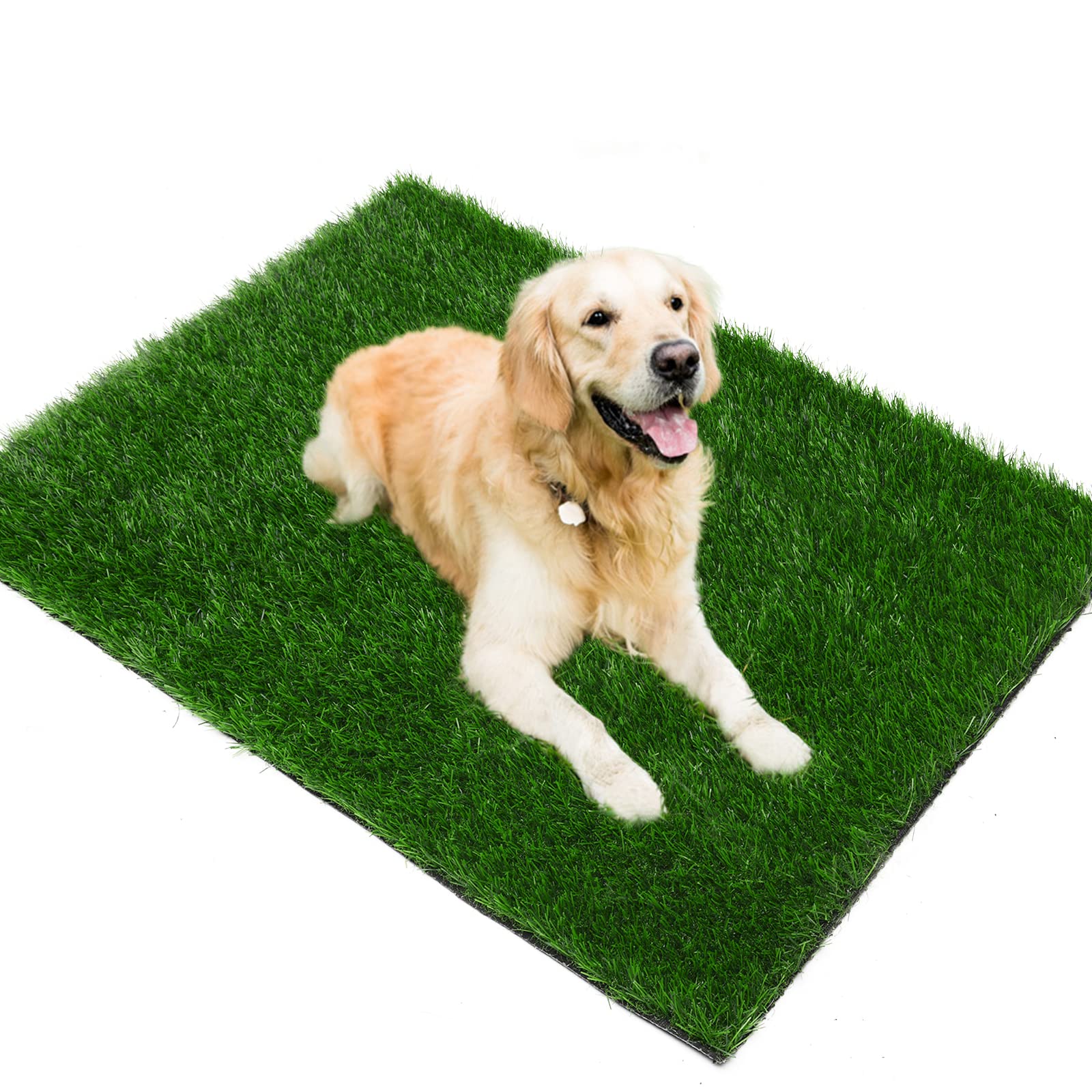 Grass Pad For Dogs 39.3 X 19.7 Inches, Strong Absorbency Soft And Real Grass For Pets Potty Training, Easy To Clean Fake Grass For Dog Indoor Outdoor Use (1 Pack)