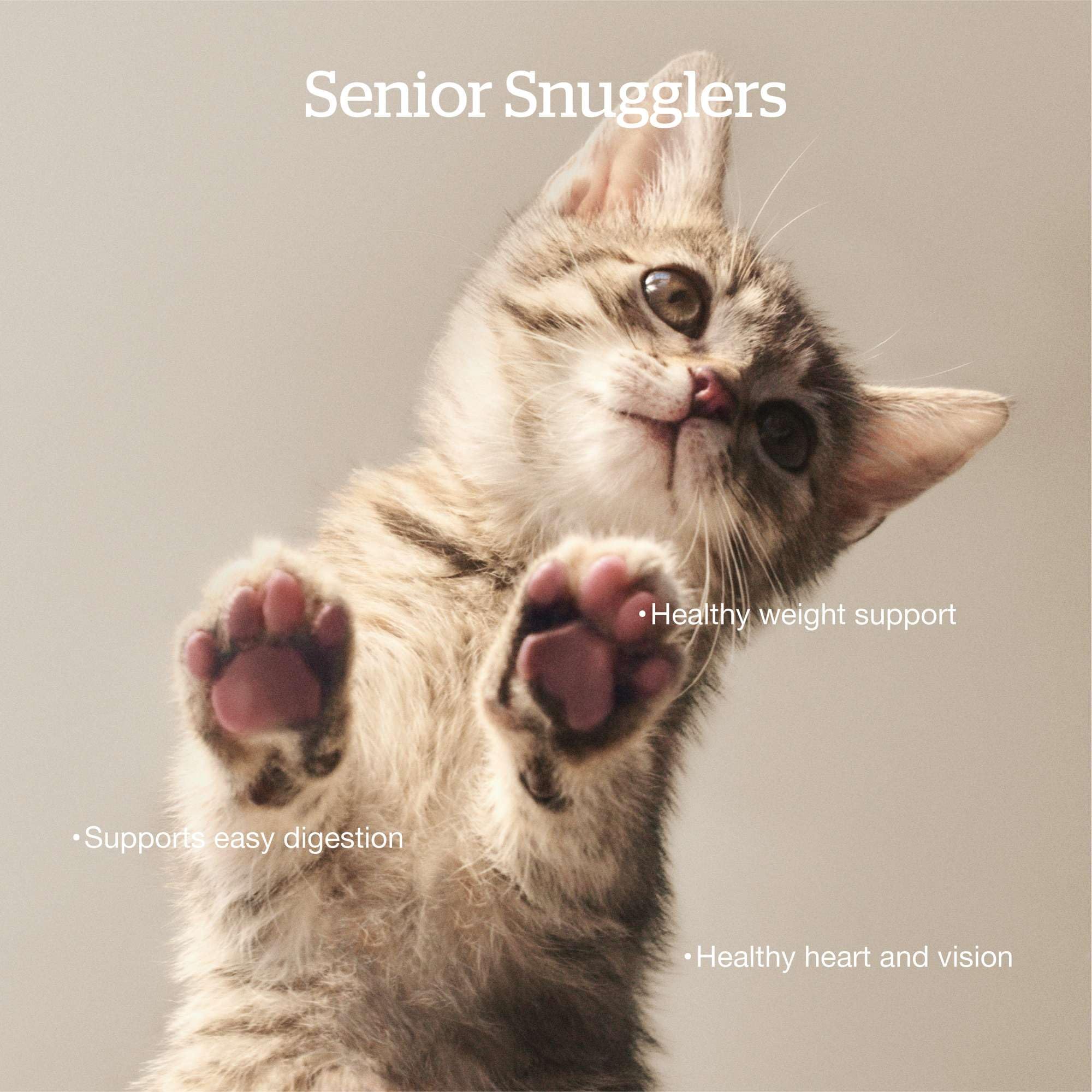 Now Fresh Grain-Free Senior Dry Cat Food with Turkey, Salmon & Duck, Premium Kibble Made with Real Poultry & Fish, Chicken-Free
