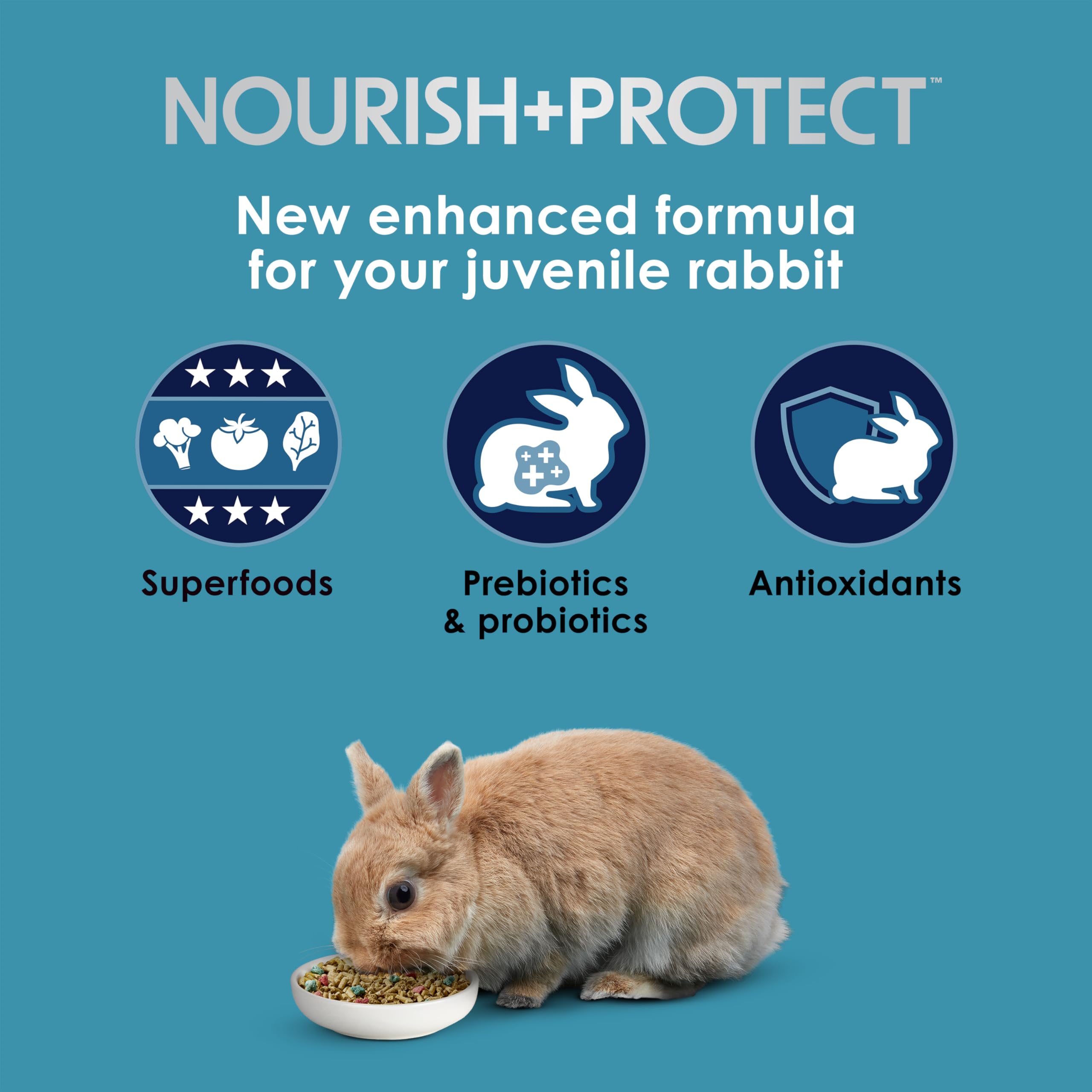 Kaytee Forti-Diet Pro Health Juvenile Rabbit Food, 3 lb, Comprehensive Nutrition for Digestive Health & Immune Support