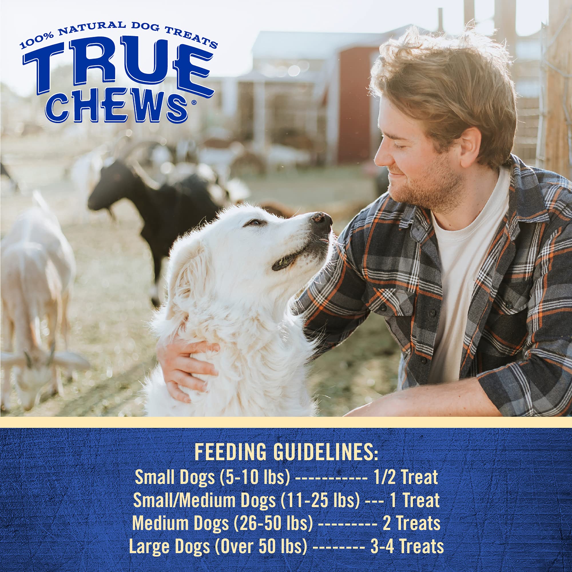 Blue Buffalo True Chews Grillers Natural Dog Treats, Chicken 12 oz bag