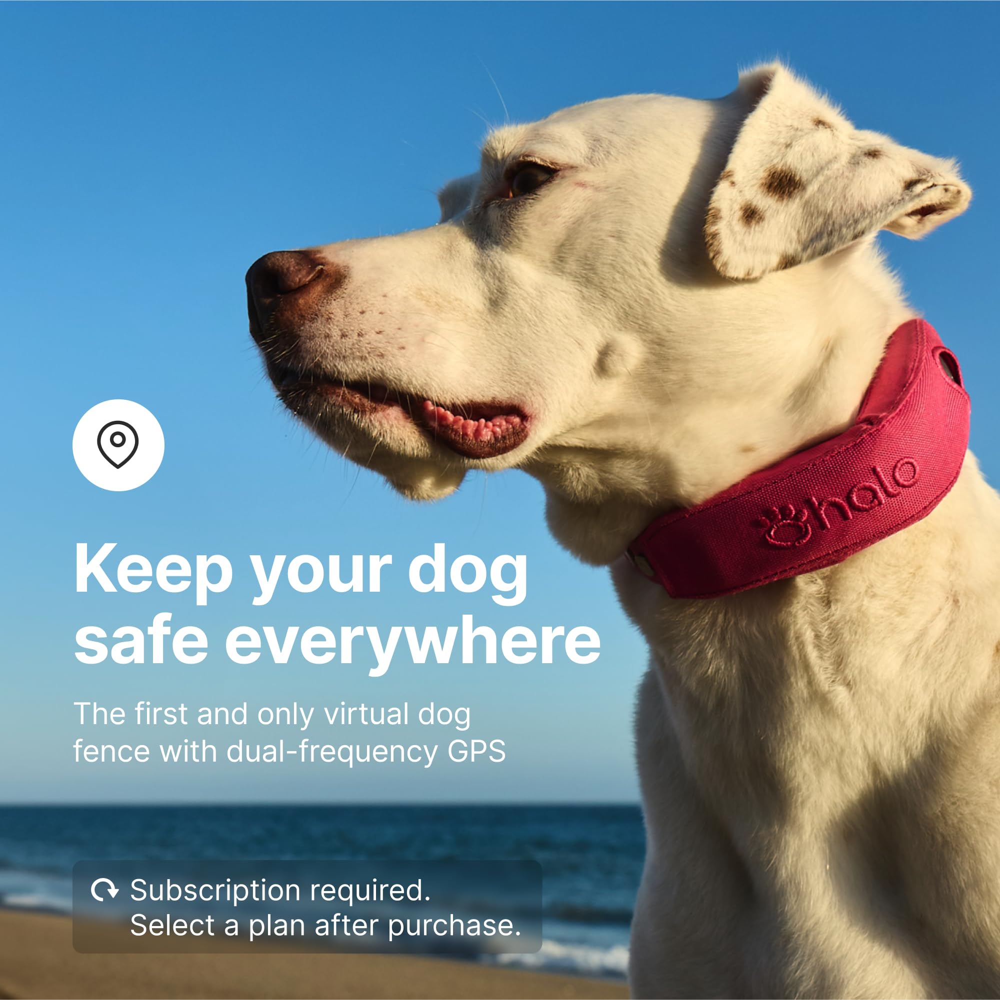 Halo Collar 4, All New Gps Wireless Dog Fence & Dog Training Collar With Gps Tracker, Subscription Required, Waterproof, One Siz