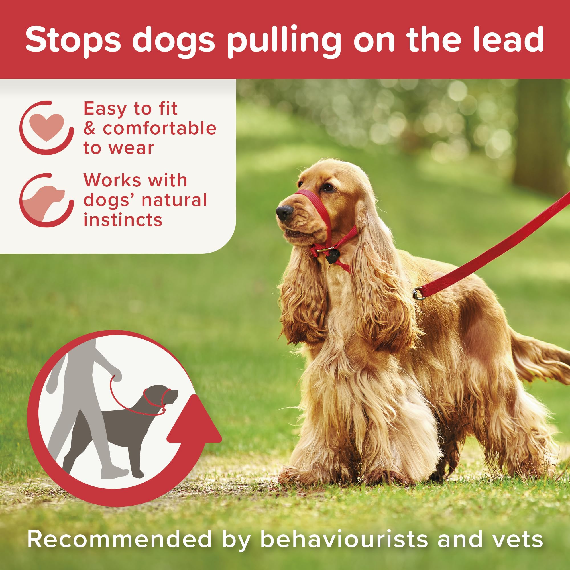 Beaphar | Gentle Leader | Head Collar For Medium Dogs | Stops Pulling On The Lead | Training Aid With Immediate Effect | Endorsed By Behaviourists | Red X 1