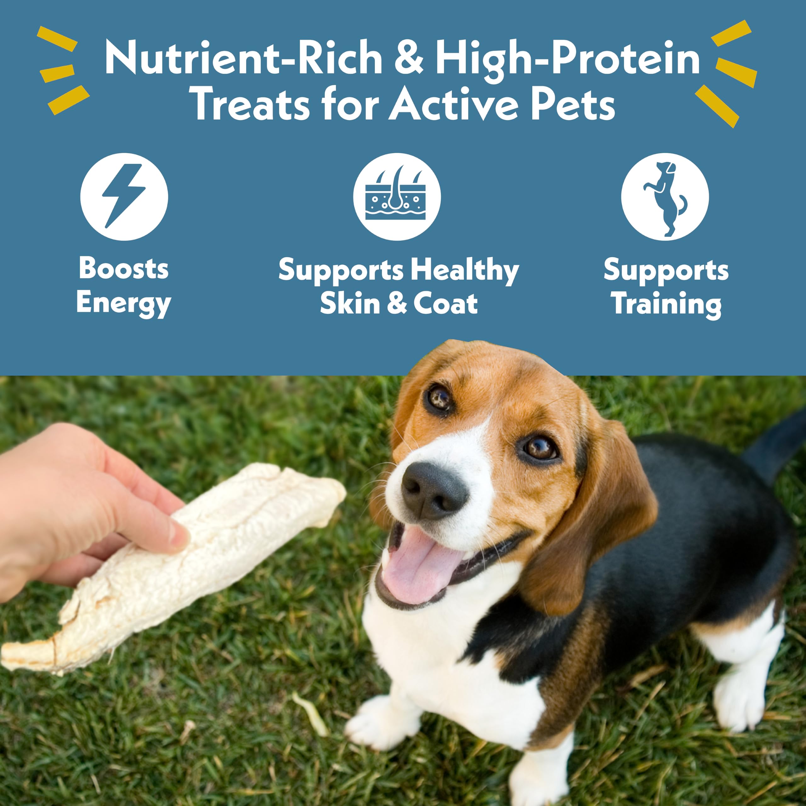 Fresh Is Best - Freeze Dried Healthy Raw Meat Treats for Dogs & Cats - Pacific Whiting Fillets
