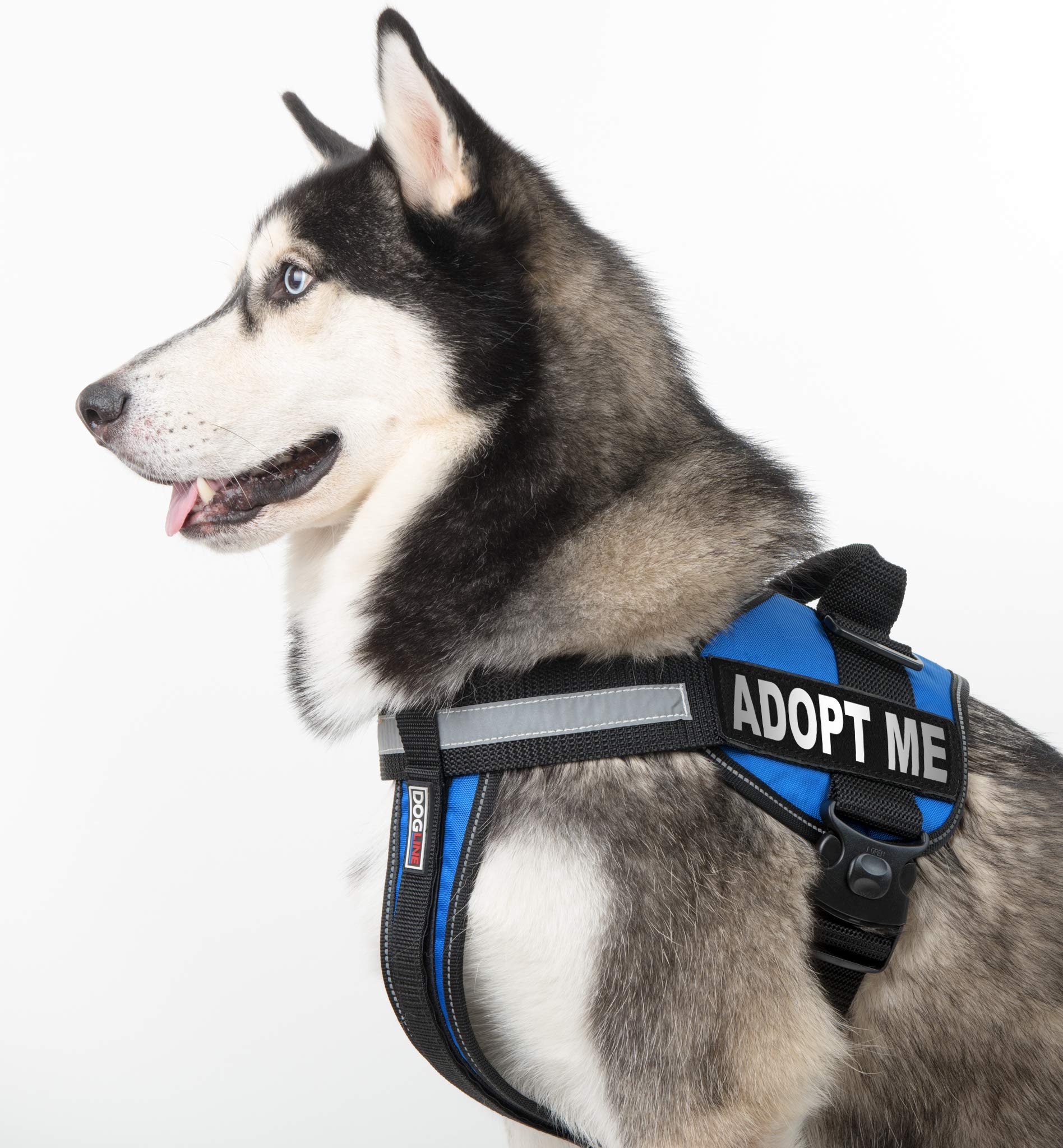 Dogline Adopt Me Vest Patches – Removable Adopt Me Patch 2-Pack With Reflective Printed Letters For Support Dog Vest Harness Collar Or Leash Large/X-Large