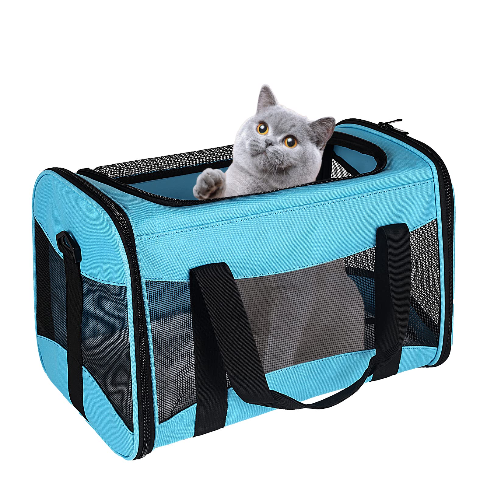 Cat Carrying Case - Pet Carrier Airline Approved, Protable And Breathable Pet Travel Carrier Removable Fleece Pad, Collapsible Cat Carrier Dog Carrier For Medium Cats Small Cats Dogs(X-Large, Blue)