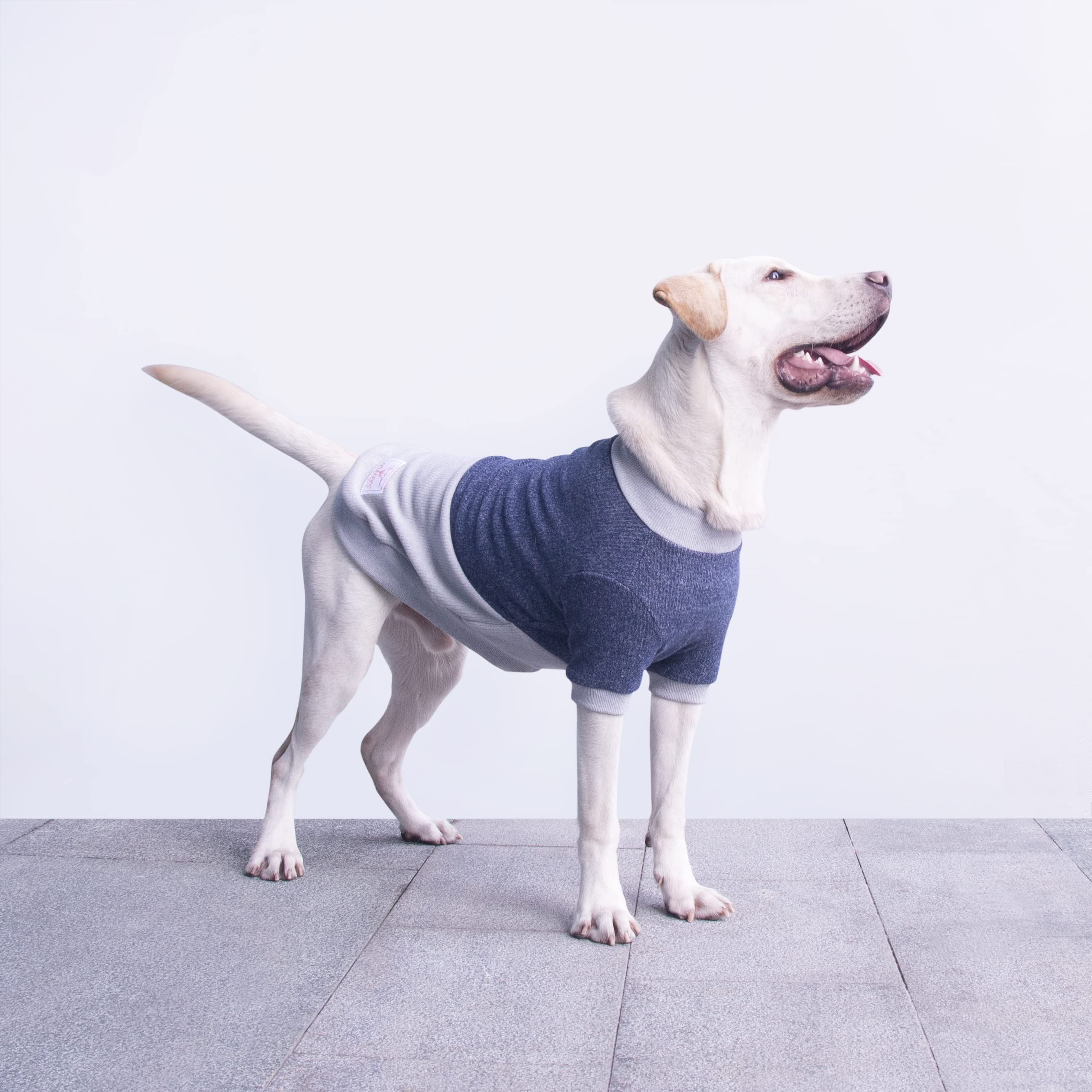 Arunners Extra Large Dog Sweaters Warm Clothes Pullover Sweatshirts For Labrador Rottweiler Great Dane, Blue Grey, 7X-Large