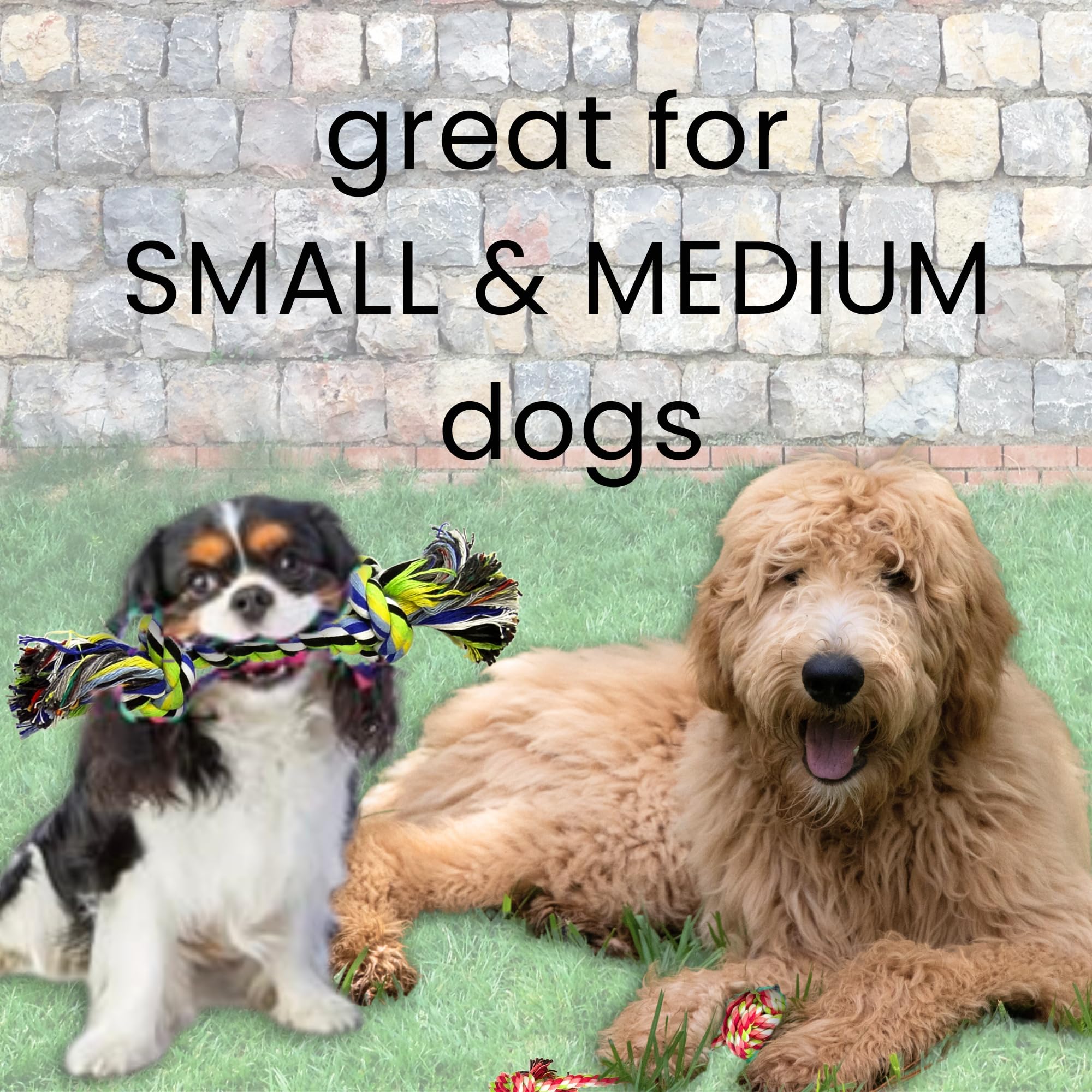 Otterly Pets 4-Pack Puppy Dog Rope Toys For Small To Medium Dogs – Durable Pull Toy For Dogs, Dog Stocking Stuffers, Pet Stocking Stuffers, Puppy Teething Toys