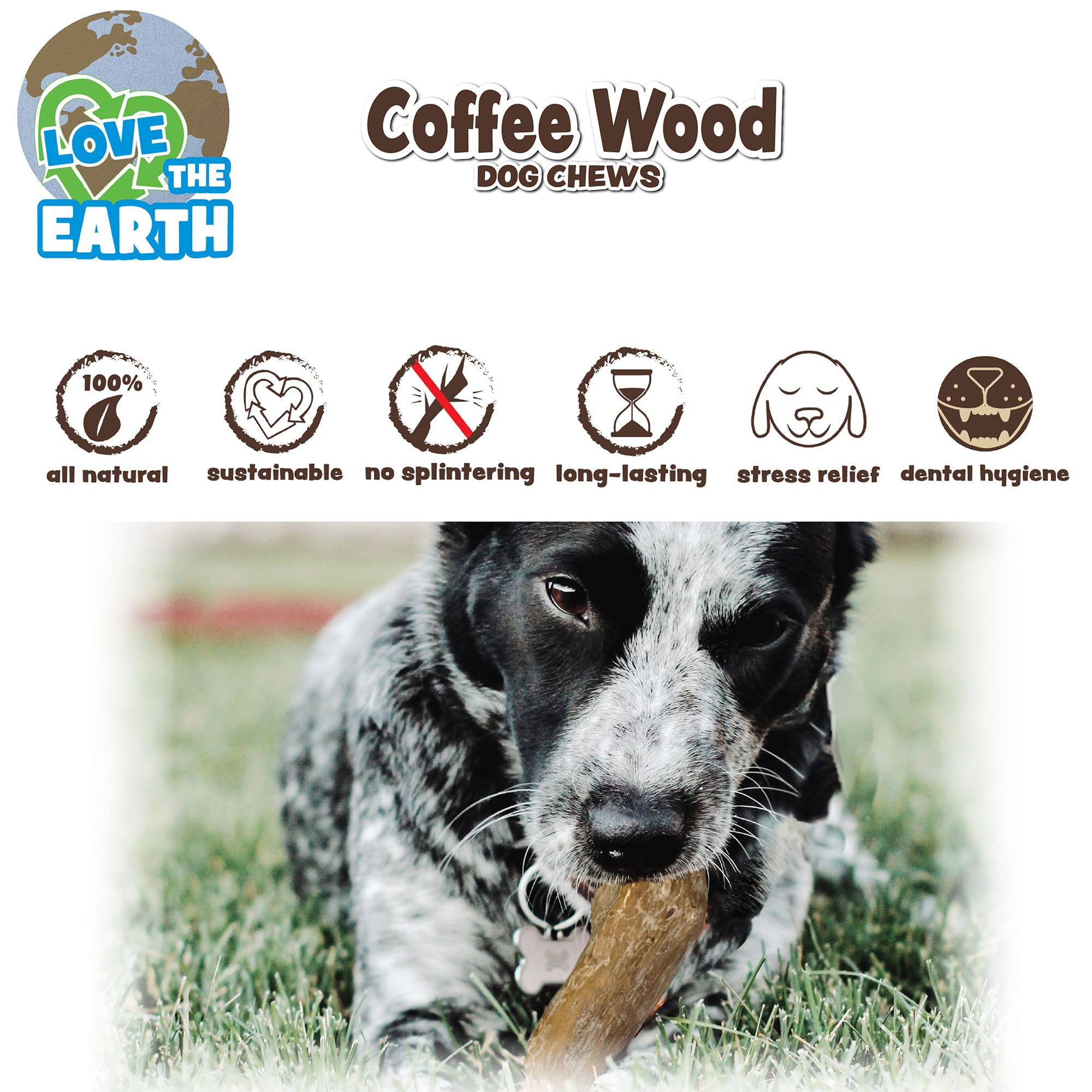 SPOT Coffee Wood Dog Chew Toy - Extra-Large, 100% Natural & Durable, Non-Splintering for Aggressive Chewers, Ideal for Dogs Over 99lbs