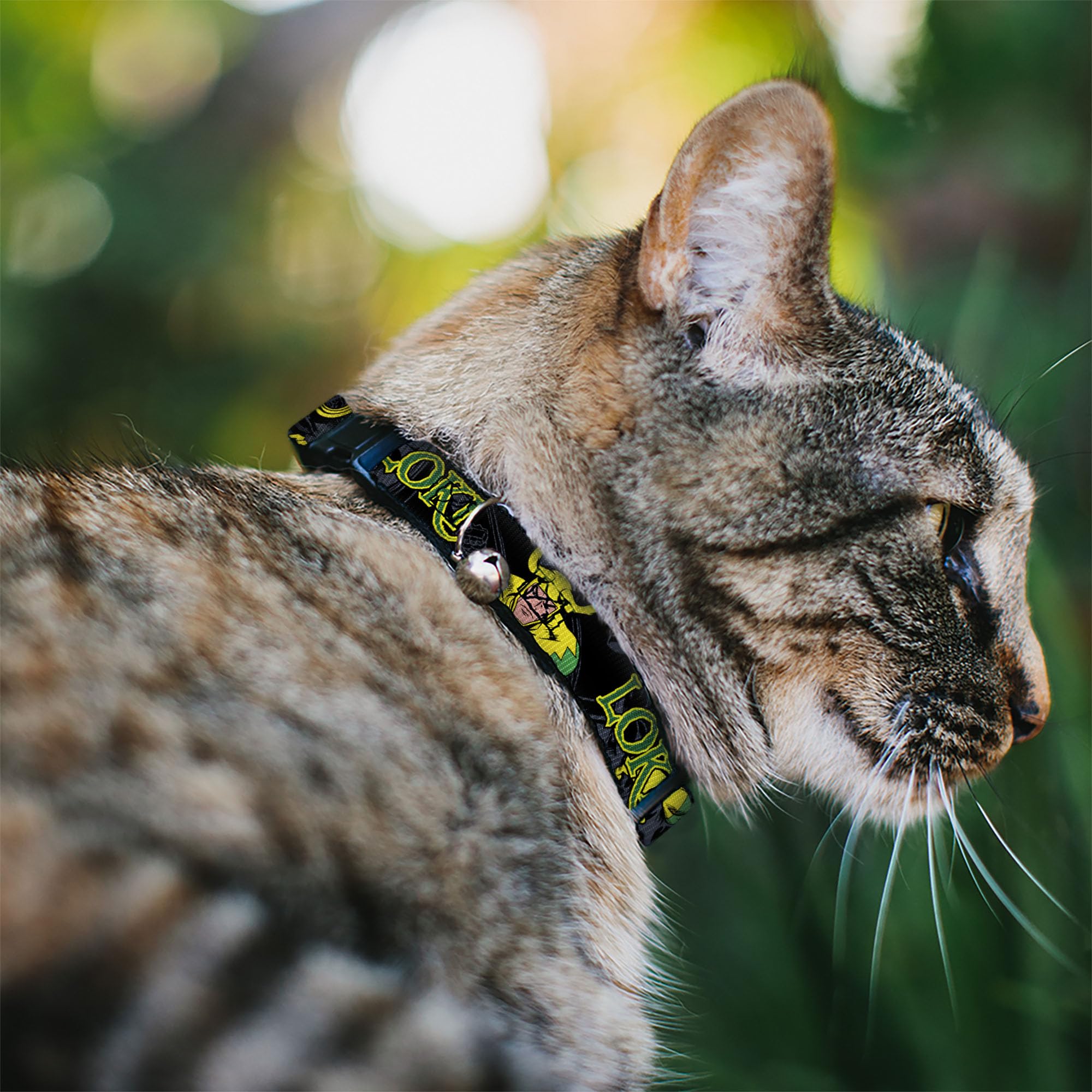 Buckle-Down Cat Collar Breakaway Loki In Action Black Gray Yellow Green 8 To 12 Inches 0.5 Inch Wide