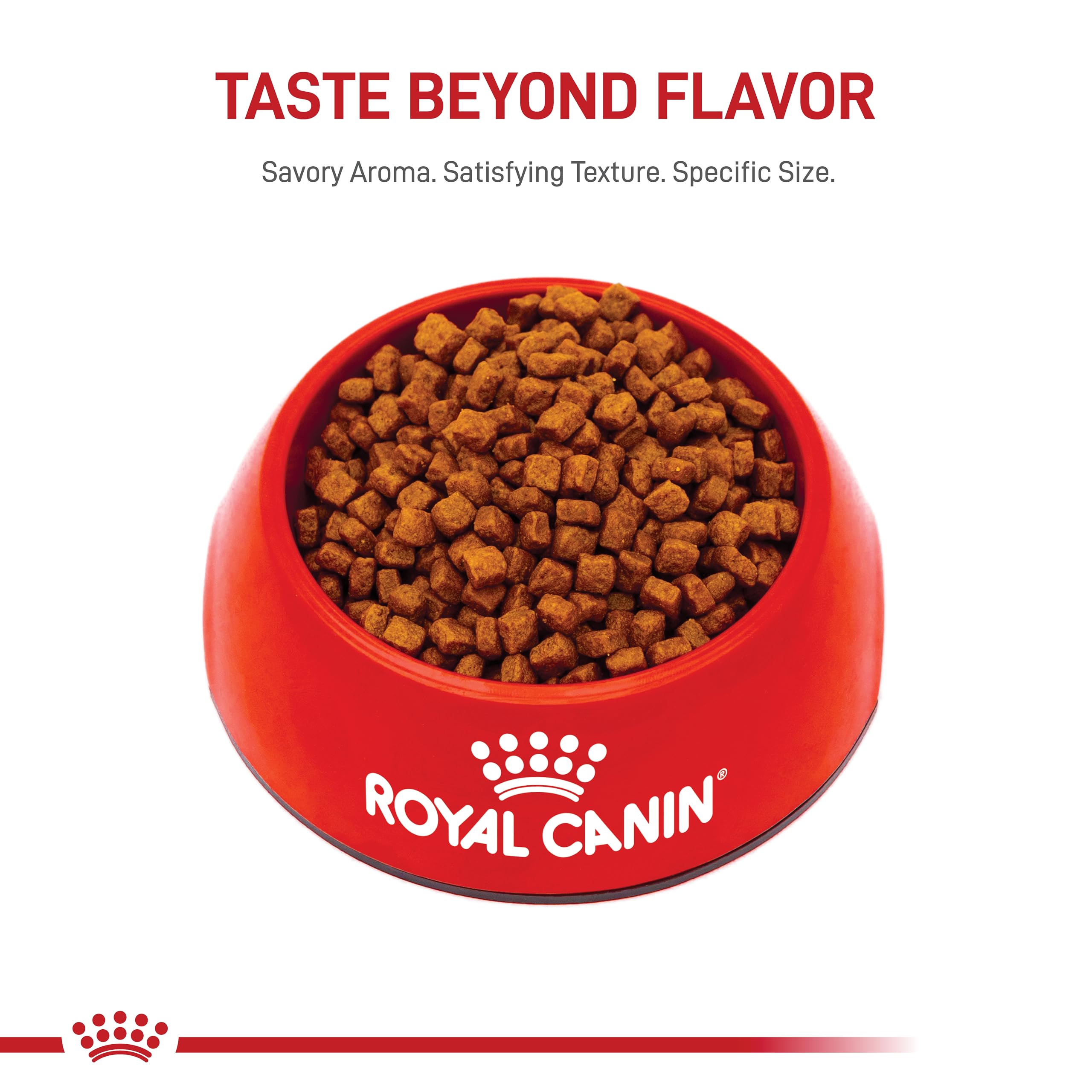 Royal Canin Yorkshire Terrier Puppy Breed Specific Dry Dog Food, 2.5 lb bag