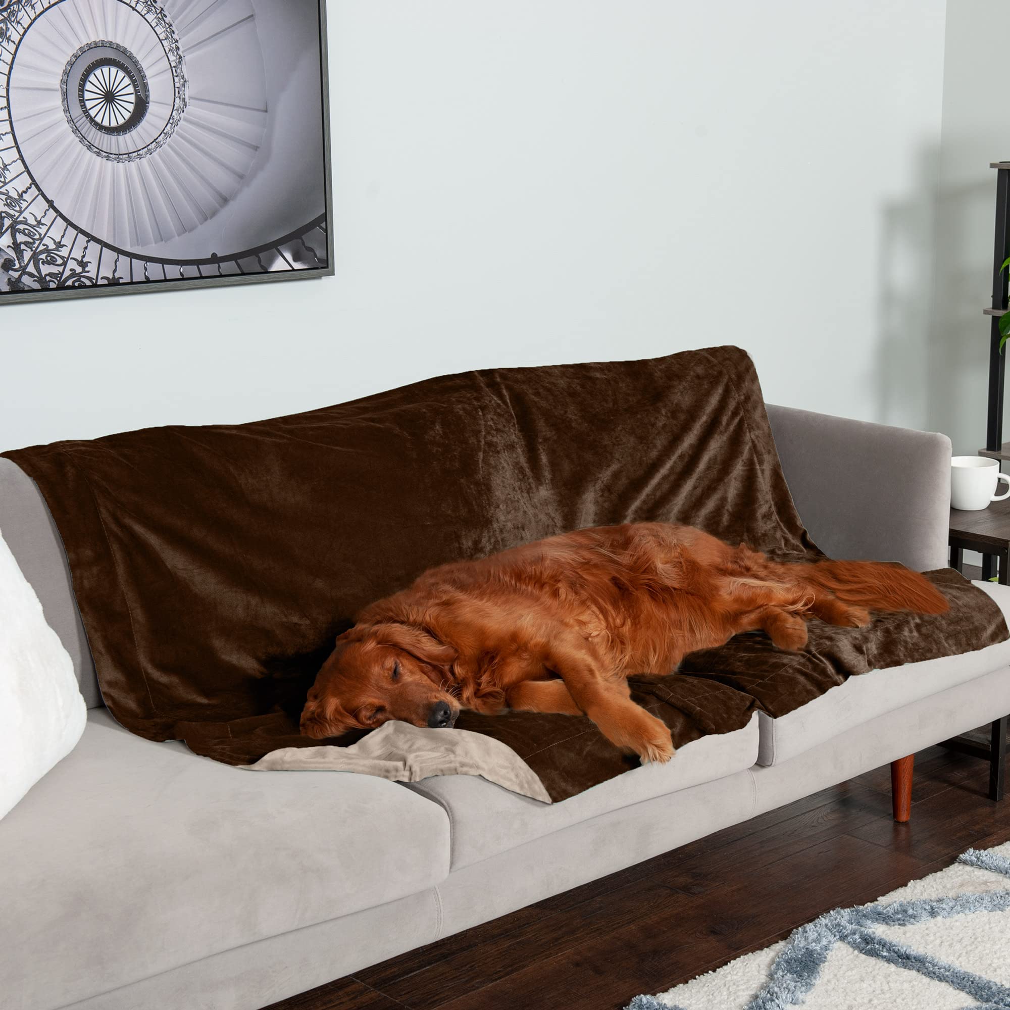 Furhaven Waterproof Throw Blanket For Dogs & Indoor Cats, Washable - Two-Tone Luxe Velvet Dog Blanket - Brownstone, Extra Large/