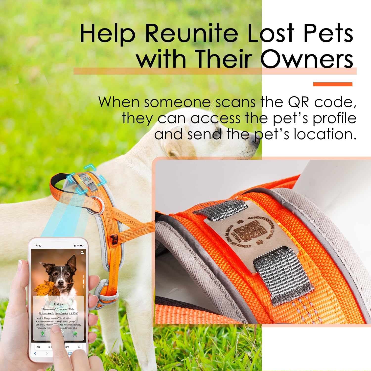 Adventuremore Dog Harness Medium No Pull With Qr Code Dog Tag, Adjustable Reflective Vest, Escape Proof Smart Id Tag With Easy C