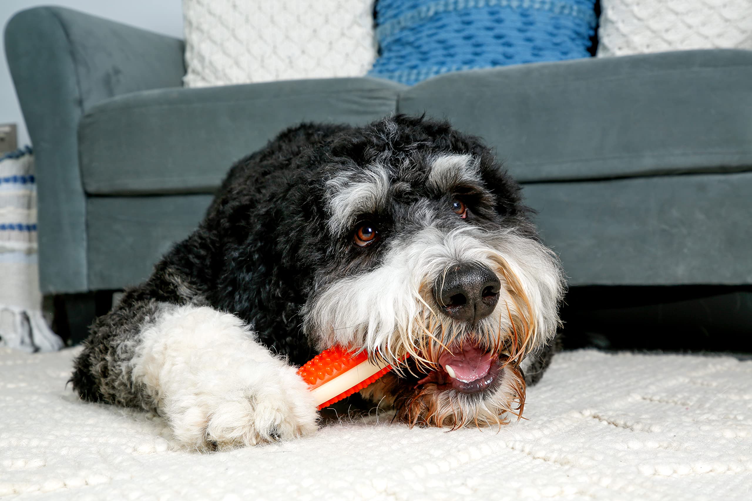 Hartz Chew 'N Clean Tuff Bone Bacon Scented Dental Dog Chew Toy - Large