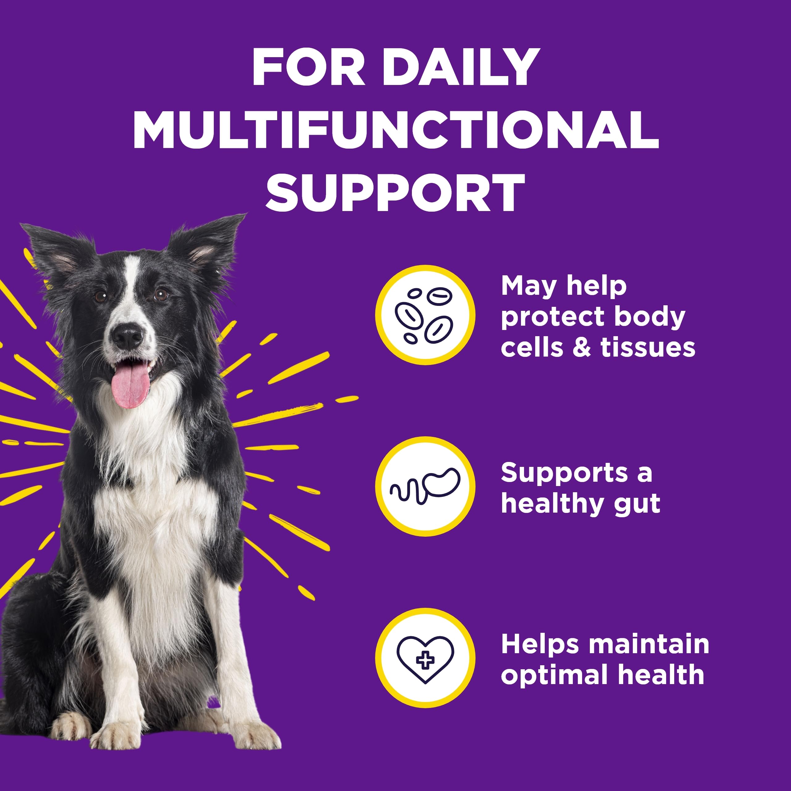 WildPaw WonderBites for Vitamins & Minerals - Essential Probiotic Supplement for Dog Care - Soft Chew Dog Multivitamin - Support