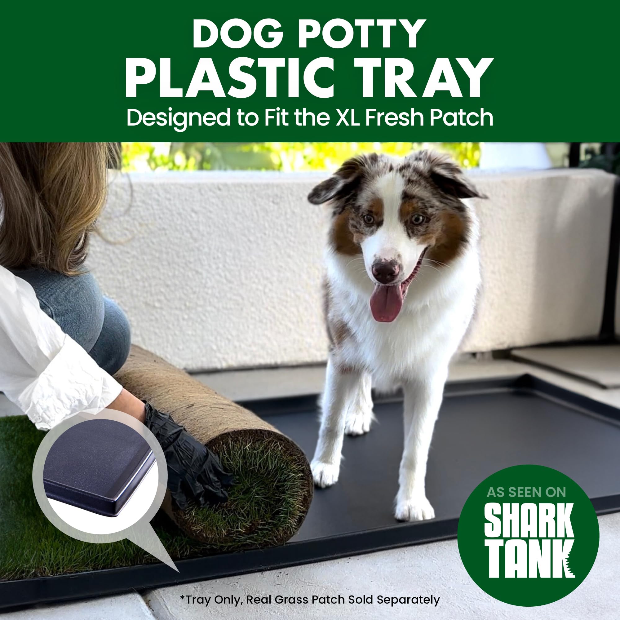 Fresh Patch Plastic Tray For Xl Real Grass Pee And Potty Training Pads For Large Dogs And Multi-Dog Households - 4 Ft X 2 Ft Mul