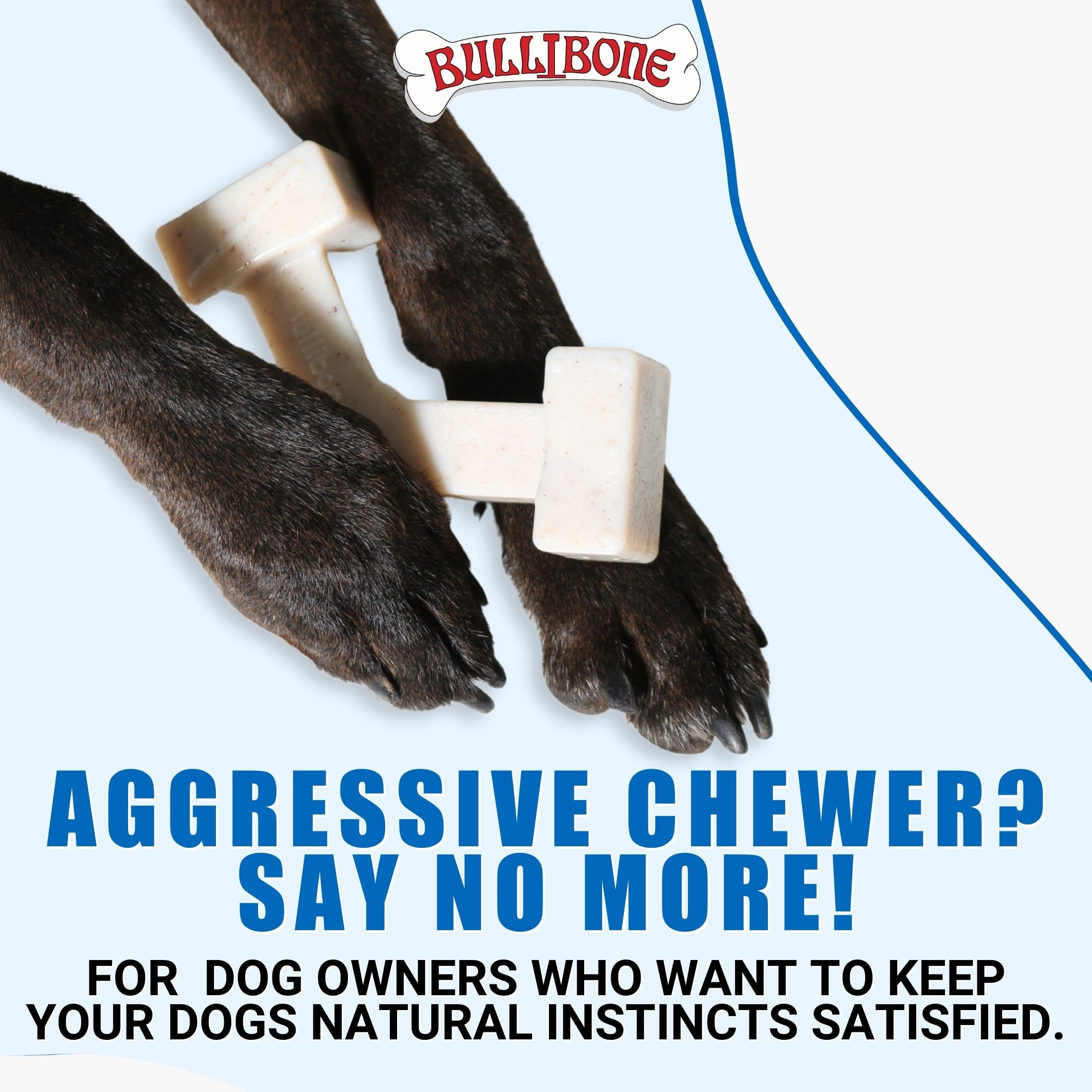 Bullibone Nylon Dog Chew Toy Spin-A-Bone - Interactive Dog Toy, Triggers Natural Instincts, And Improves Oral Health