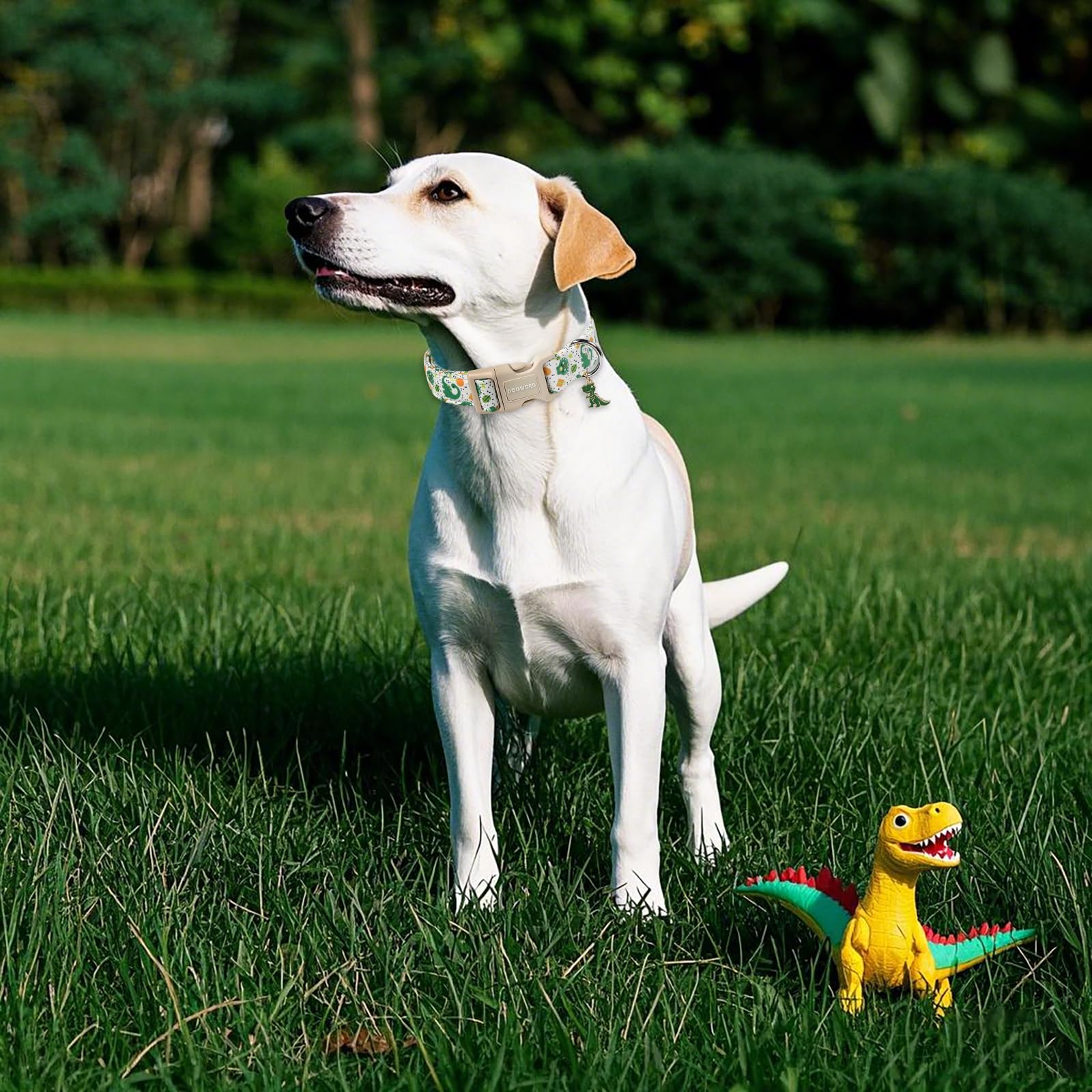 Dogwong Dinosaur Dog Collar- Cute Summer Dog Collars Adjustable Designer Puppy Dinosaur Dog Collar For Boy Male Small Medium Lar