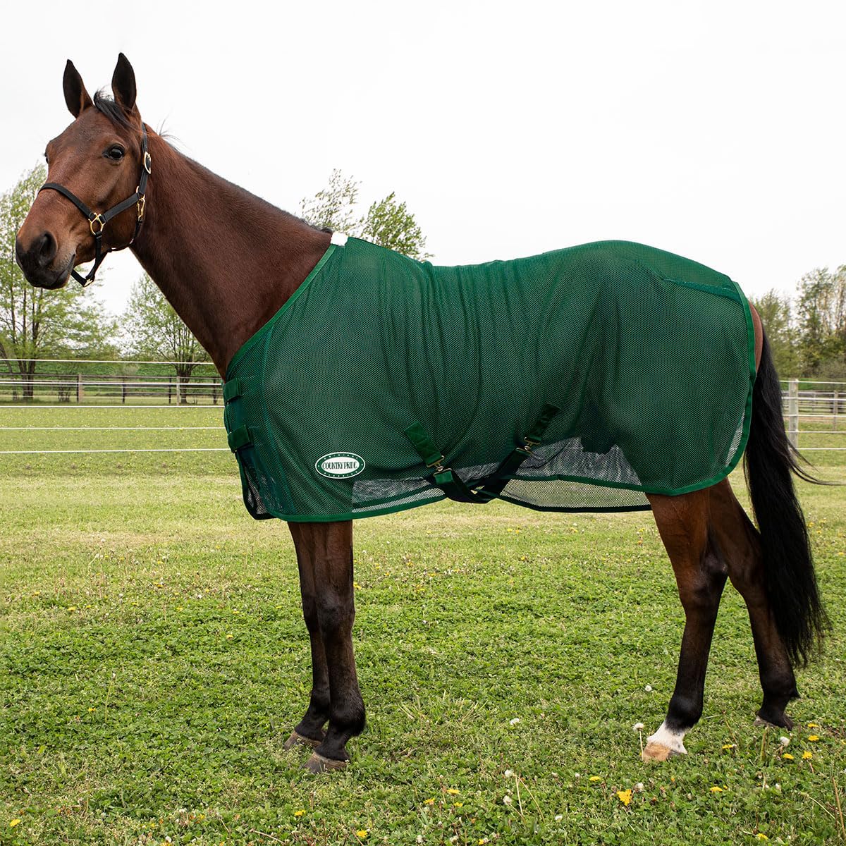 Country Pride Fitted Scrim Fly Sheet (Green, Small 70-72'')