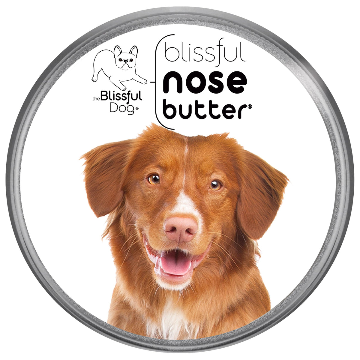 The Blissful Dog Nova Scotia Duck Tolling Retriever Unscented Nose Butter - Dog Nose Butter, 8 Ounce