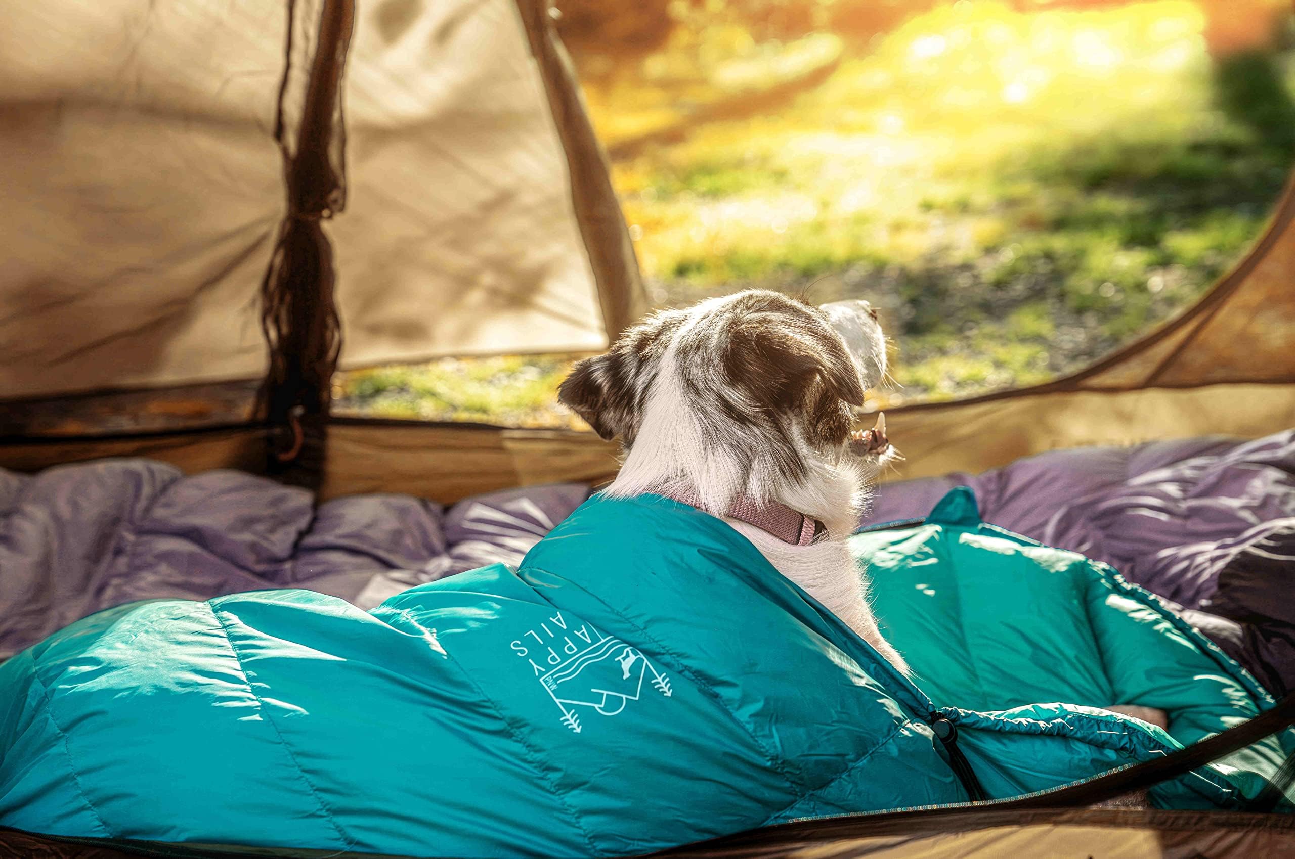 Ultralight Dog Sleeping Bag Backpacking-Outdoor Dog Bed For Hiking-Backpacking Gear For Dogs-Dog Hiking Gear-Dog Camping Gear-Pa