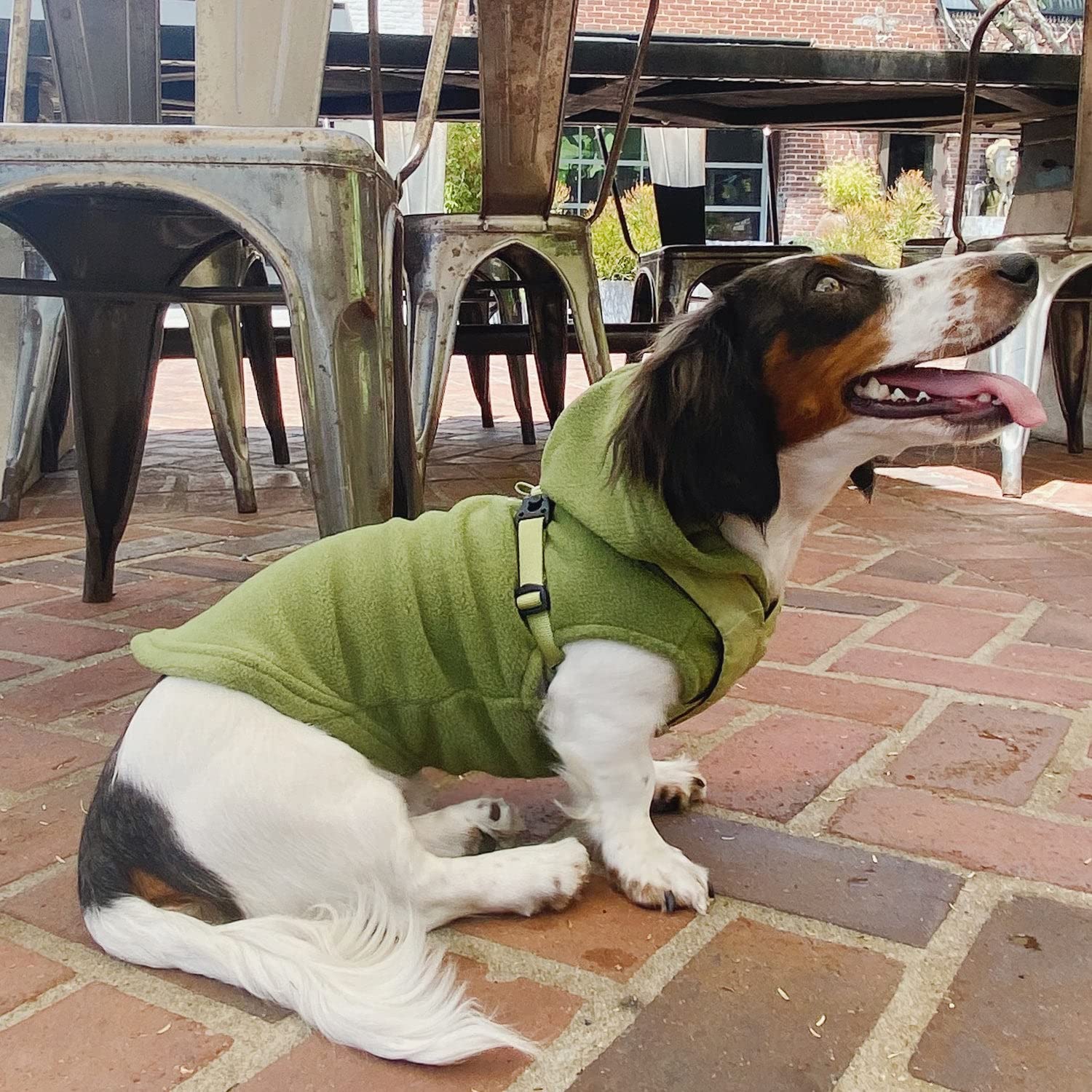 Gooby Fleece Vest Hoodie Dog Sweater - Green, X-Small - Warm Pullover Dog Hoodie With O-Ring Leash - Winter Hooded Small Dog Sweater - Dog Clothes For Small Dogs Boy Or Girl, And Medium Dogs