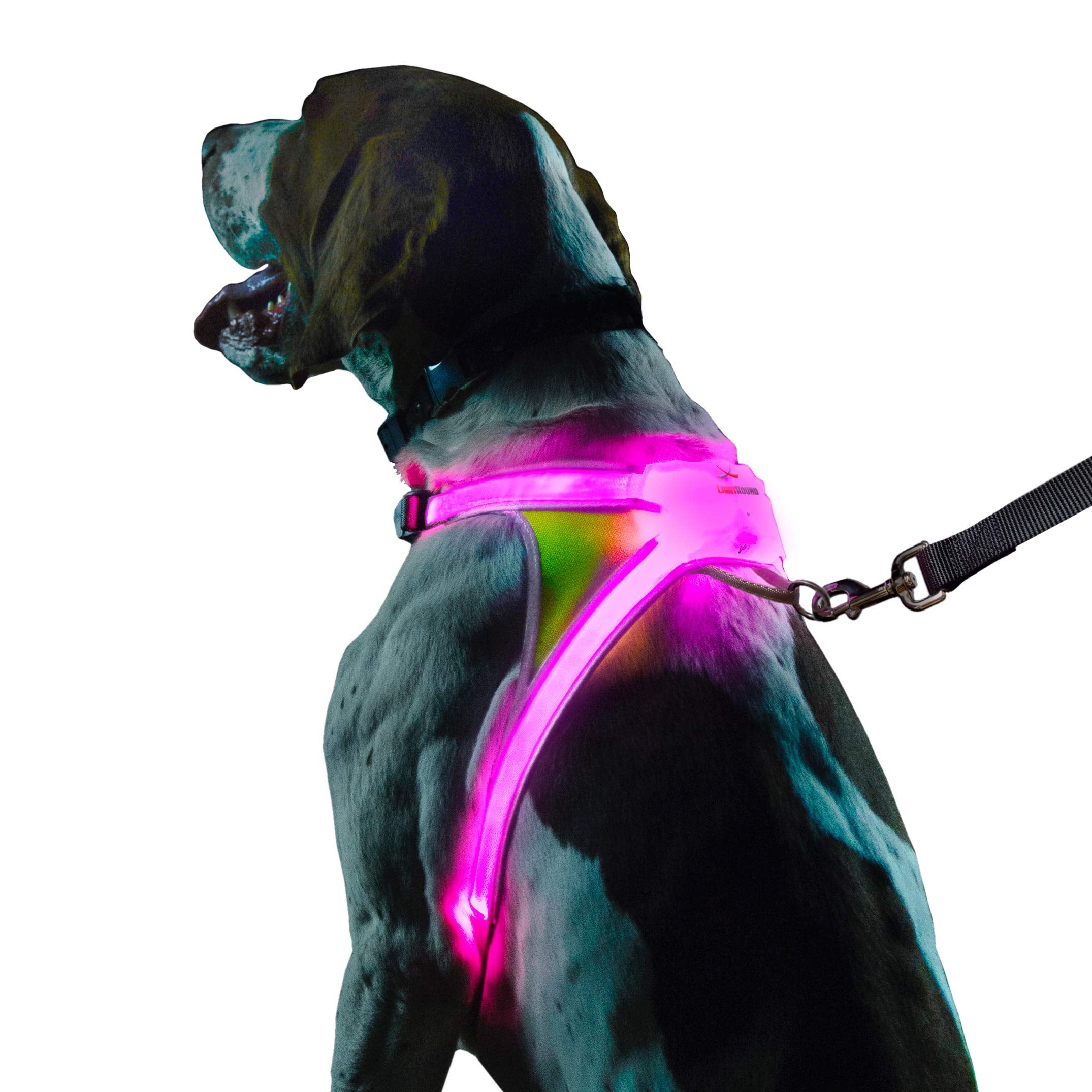 Noxgear Lighthound – Revolutionary Illuminated And Reflective Harness For Dogs Including Multicolored Led Fiber Optics (Usb Rechargeable, Adjustable, Lightweight, Rainproof) (X-Large)